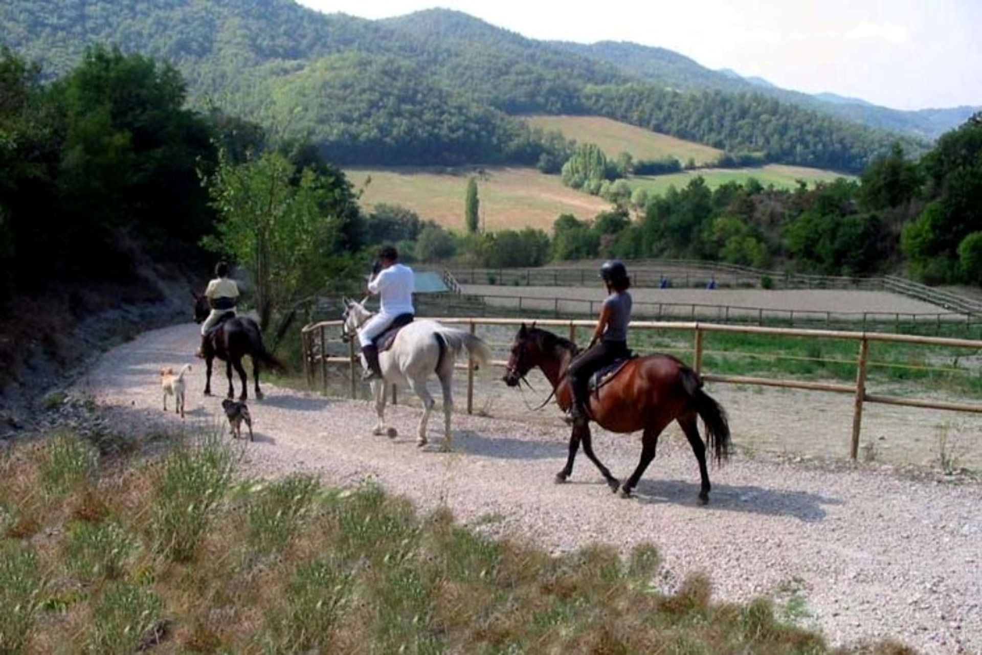 Muu sisään Montone, Perugia 10058126