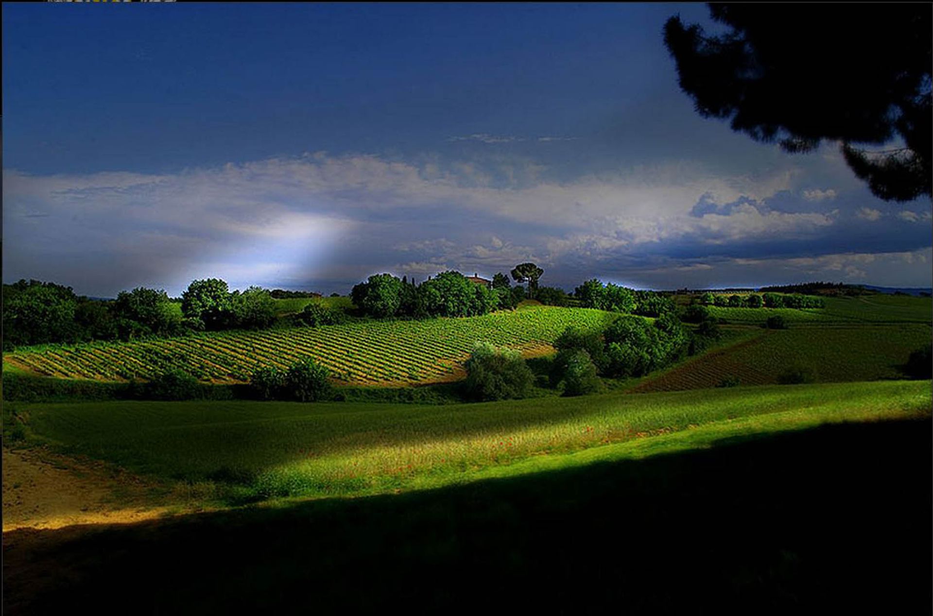 अन्य में Montepulciano, Siena 10058143