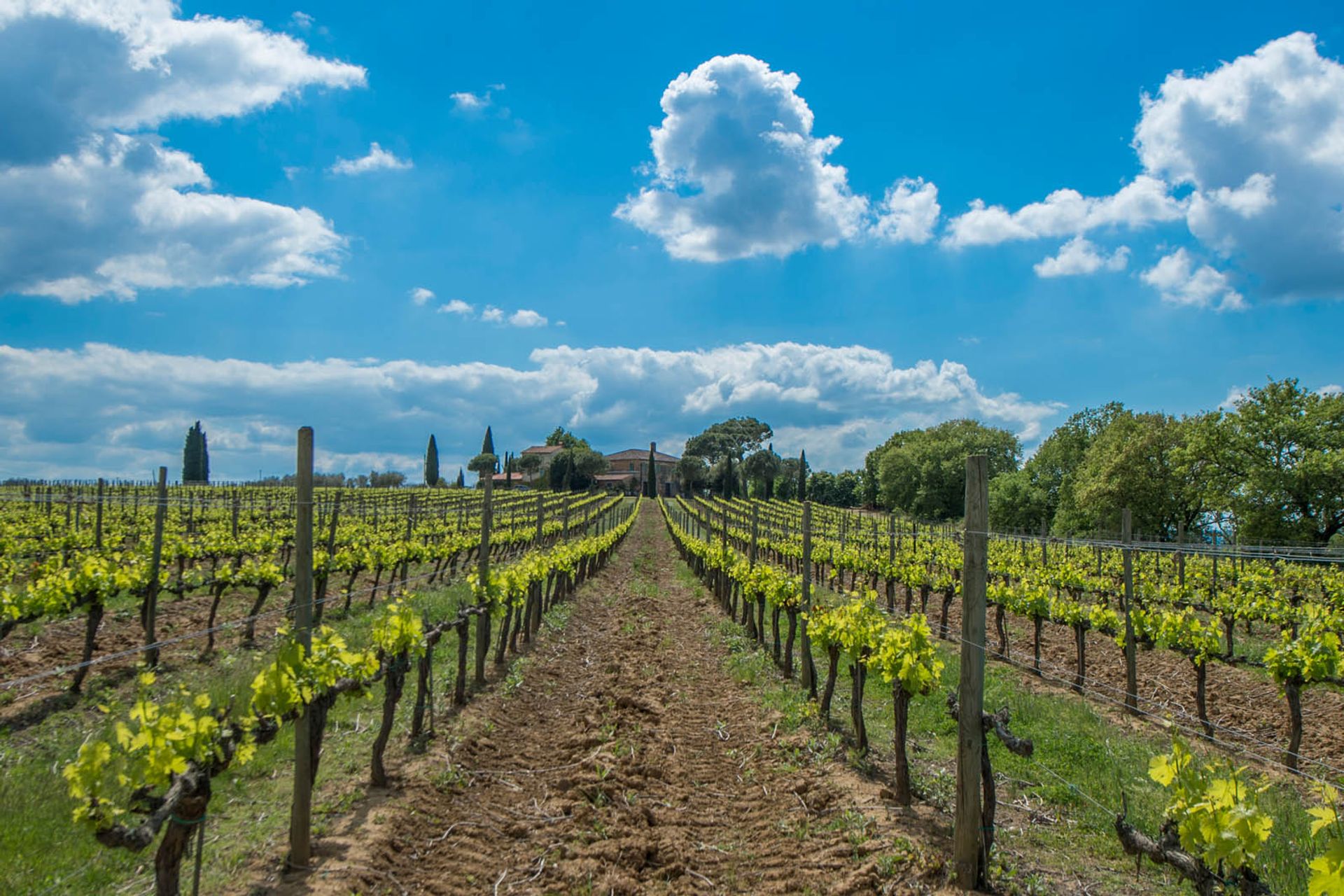 अन्य में Montepulciano, Siena 10058143