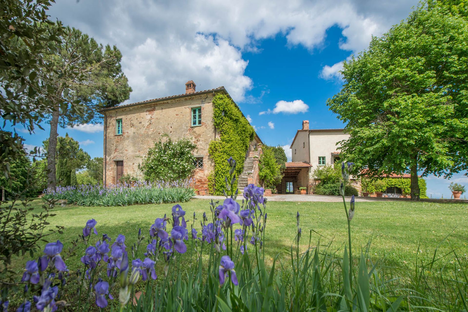 अन्य में Montepulciano, Siena 10058143