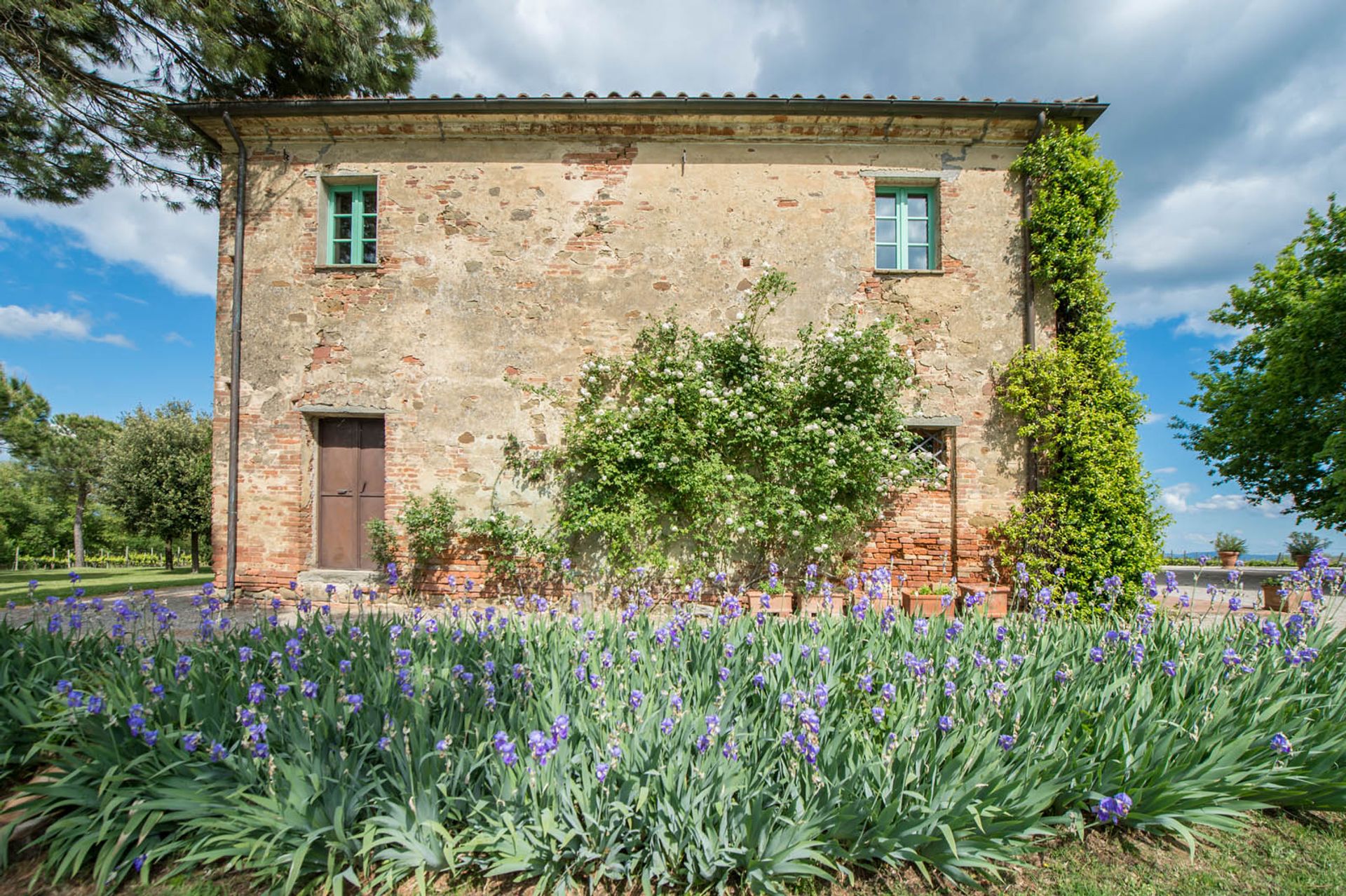 अन्य में Montepulciano, Siena 10058143