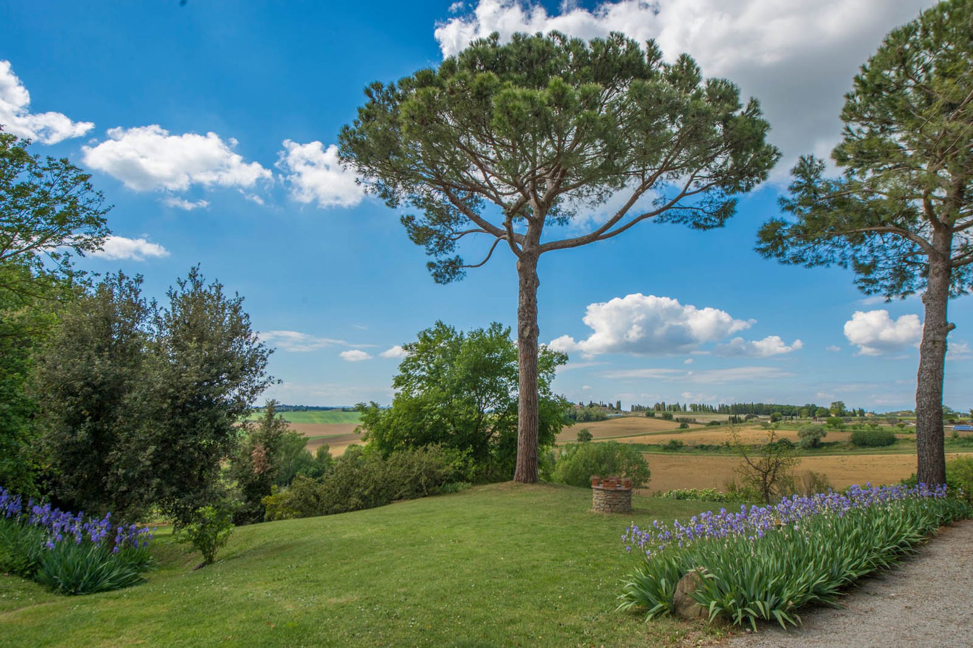 Lain di Montepulciano, Siena 10058143