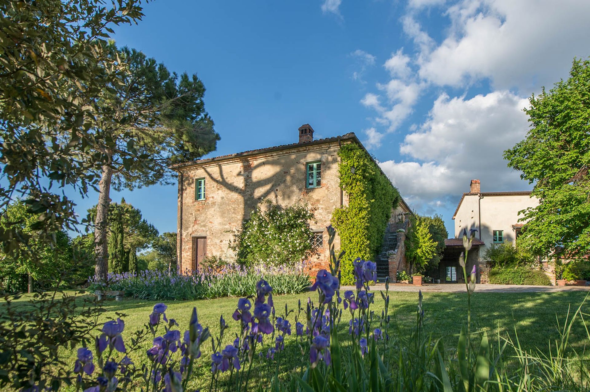 अन्य में Montepulciano, Siena 10058143