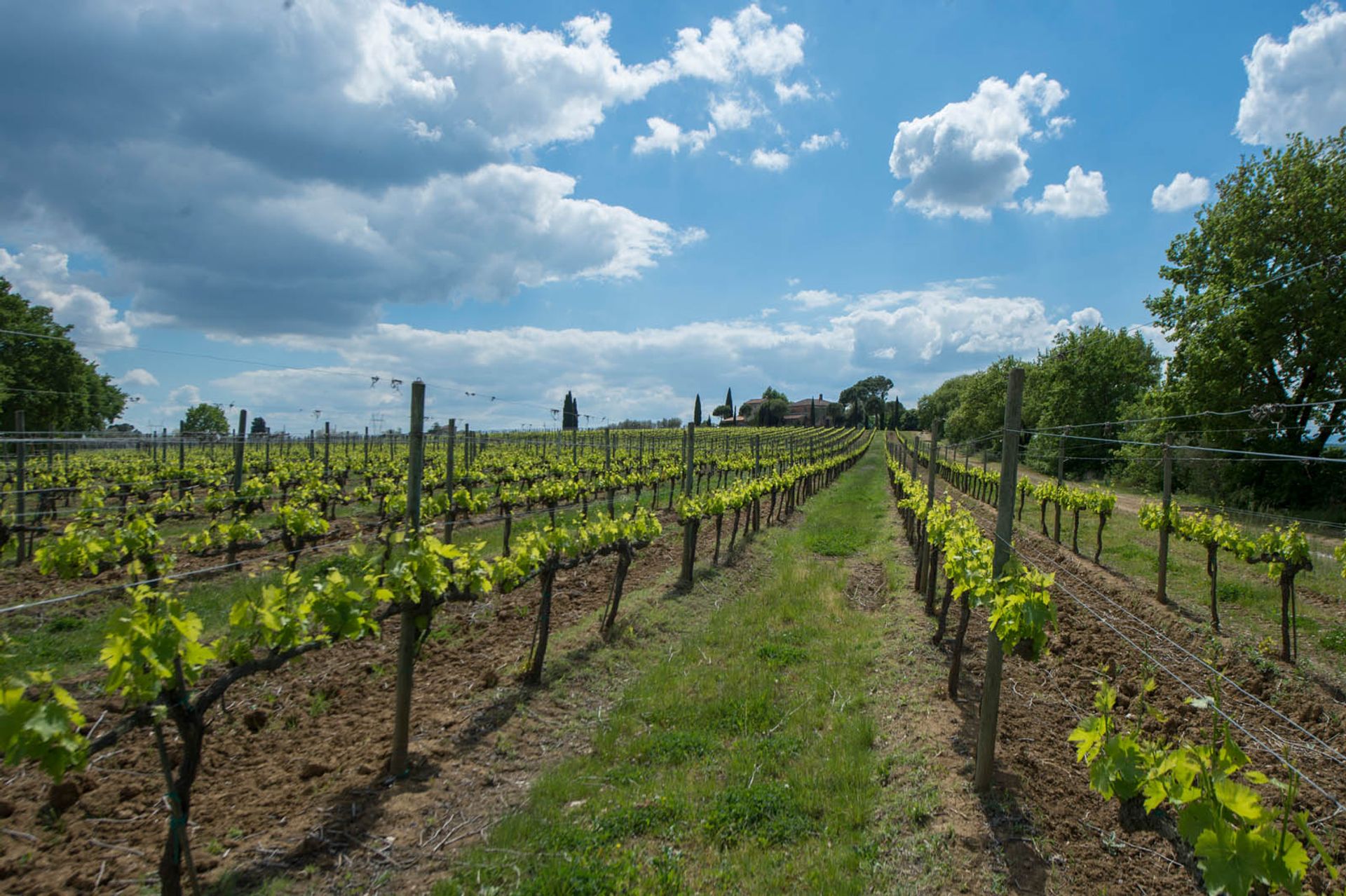 अन्य में Montepulciano, Siena 10058143