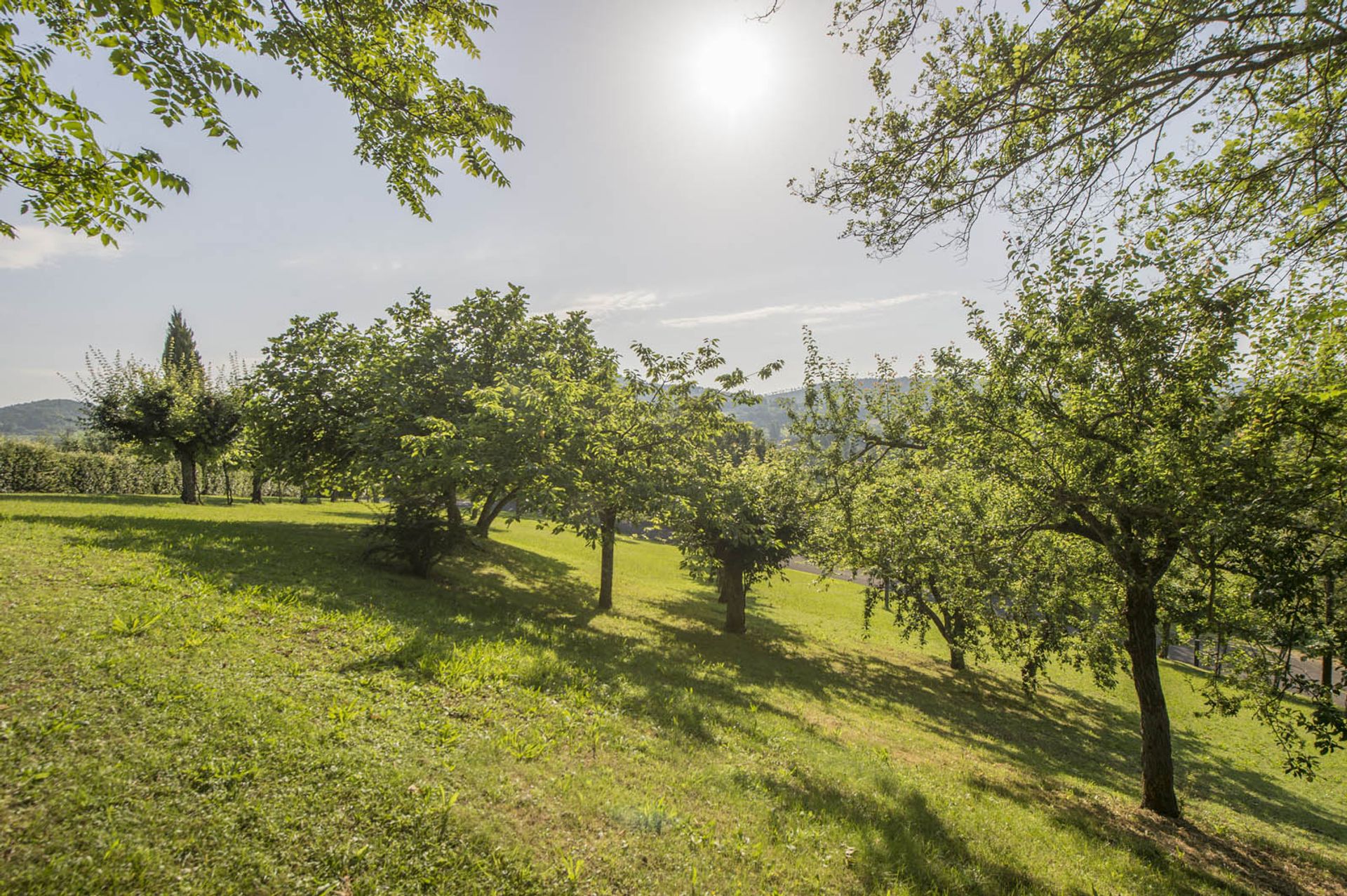 Talo sisään Citta Di Castello, Perugia 10058144