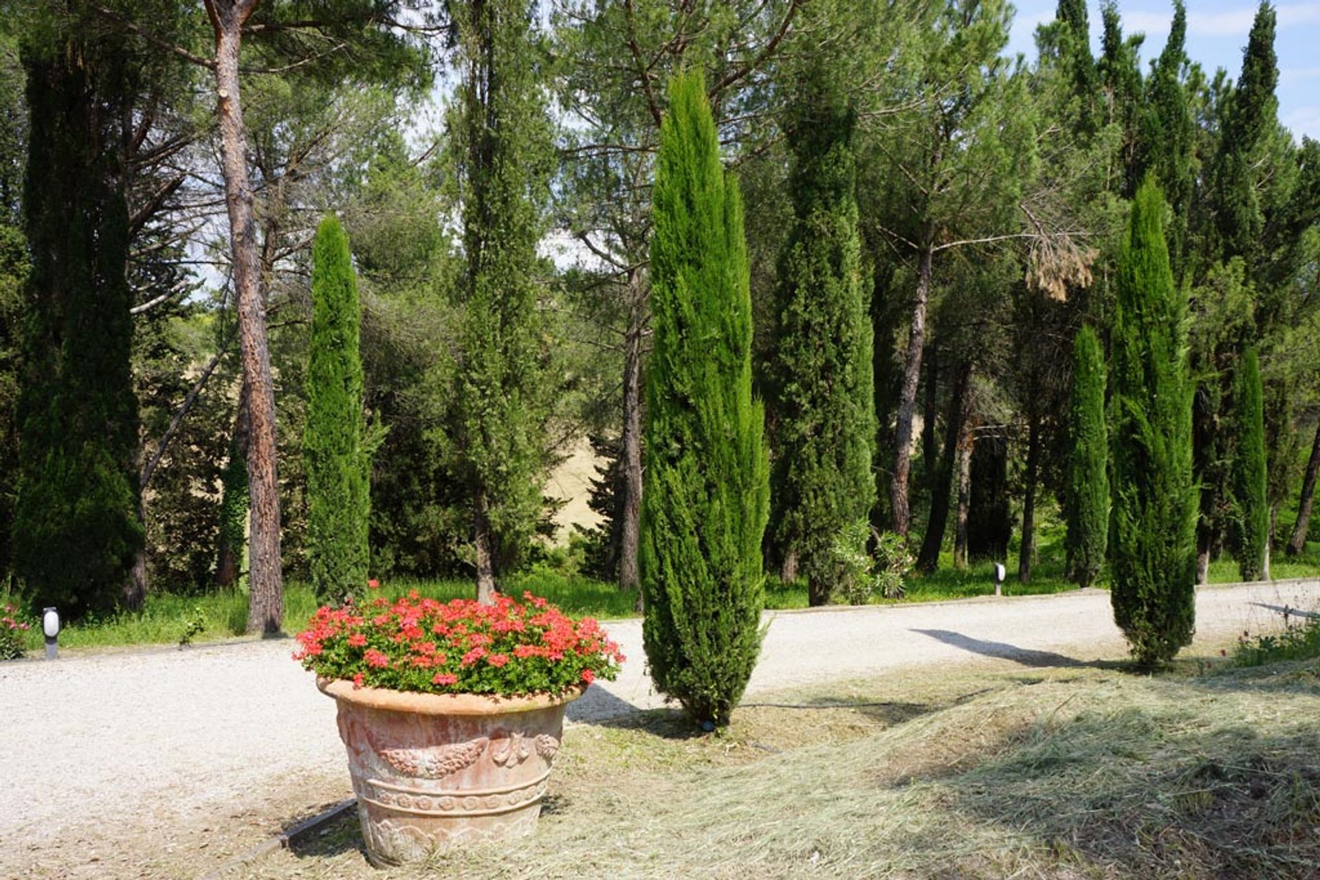 其他 在 San Gimignano, Siena 10058149