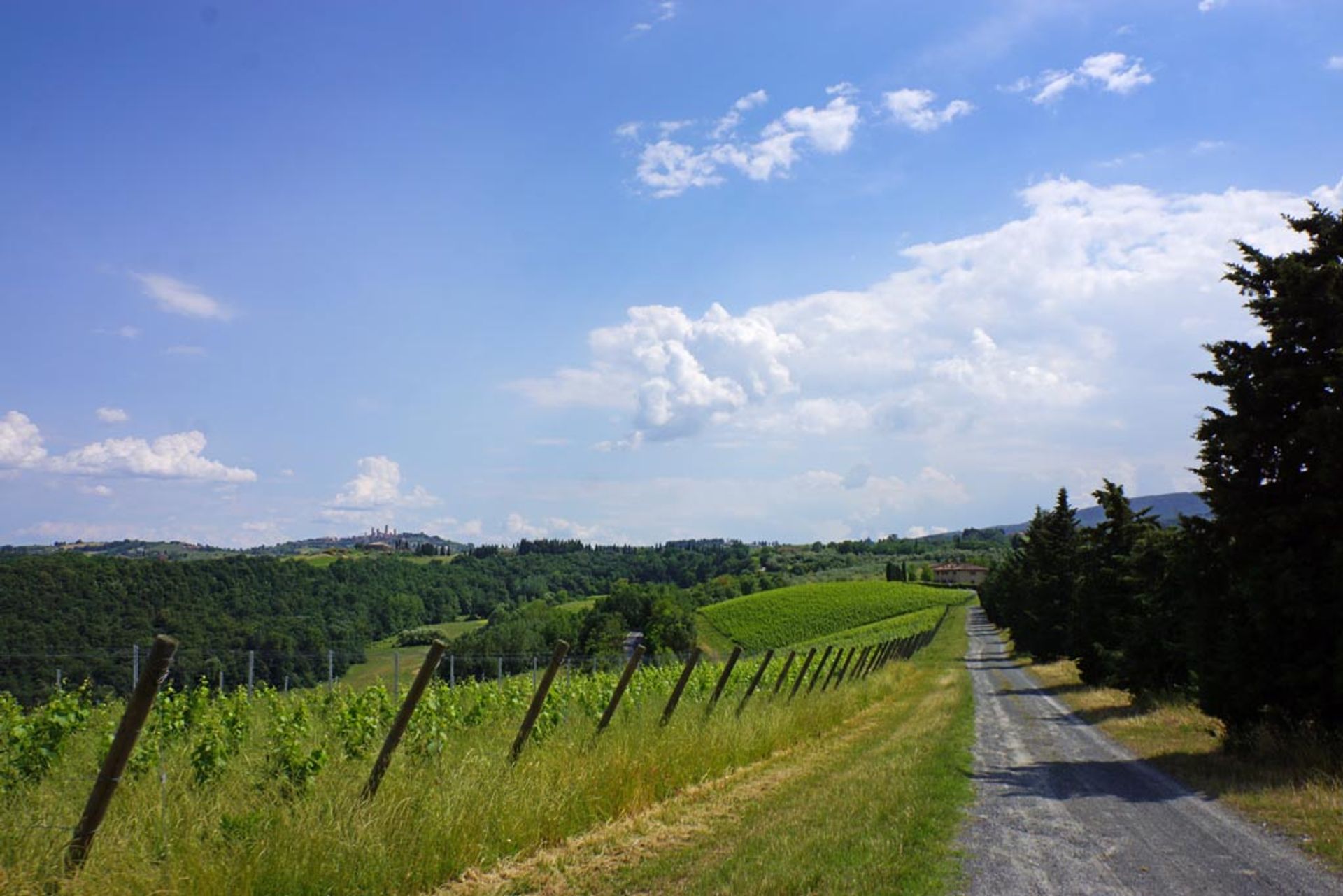 آخر في San Gimignano, Siena 10058149