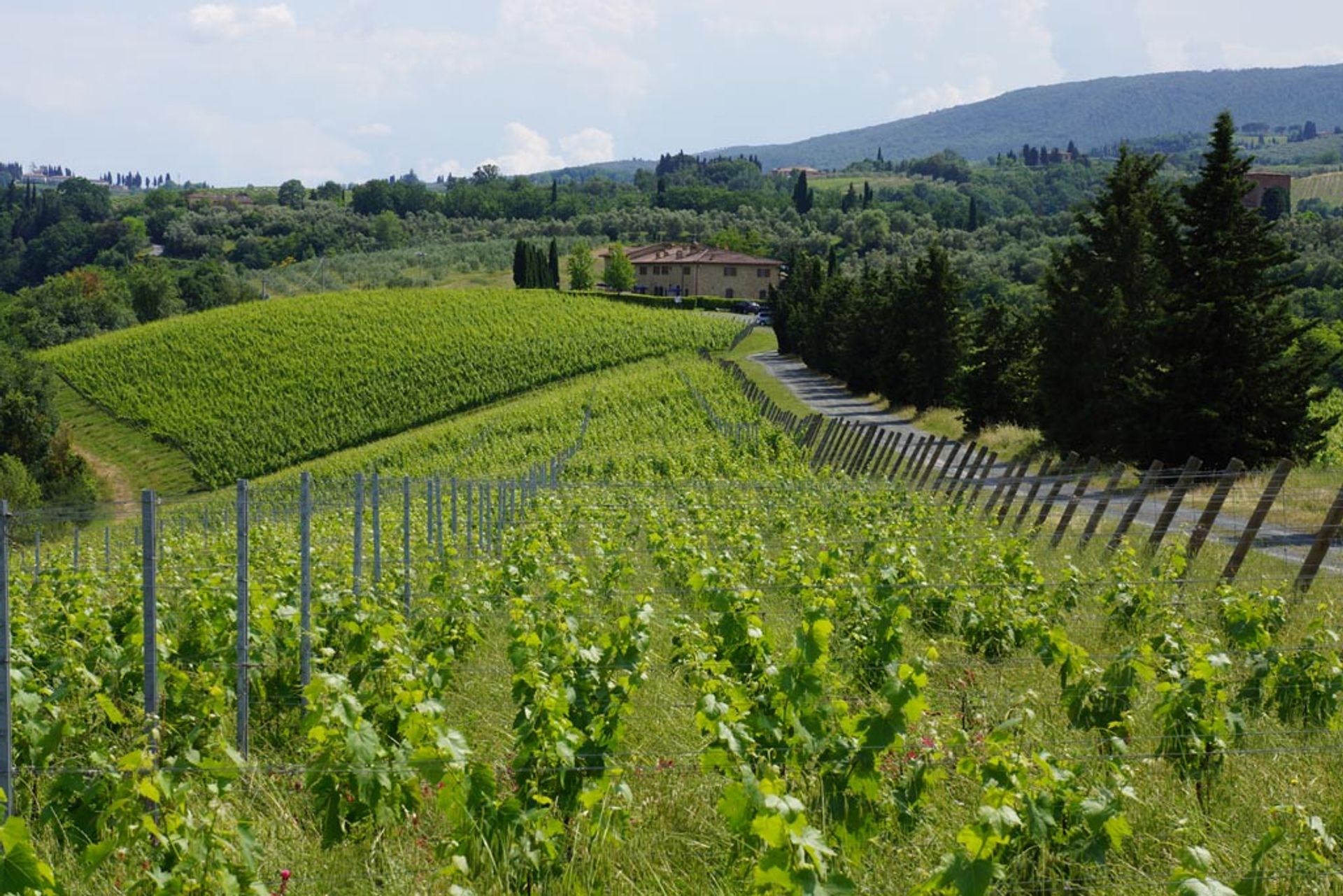 آخر في San Gimignano, Siena 10058149