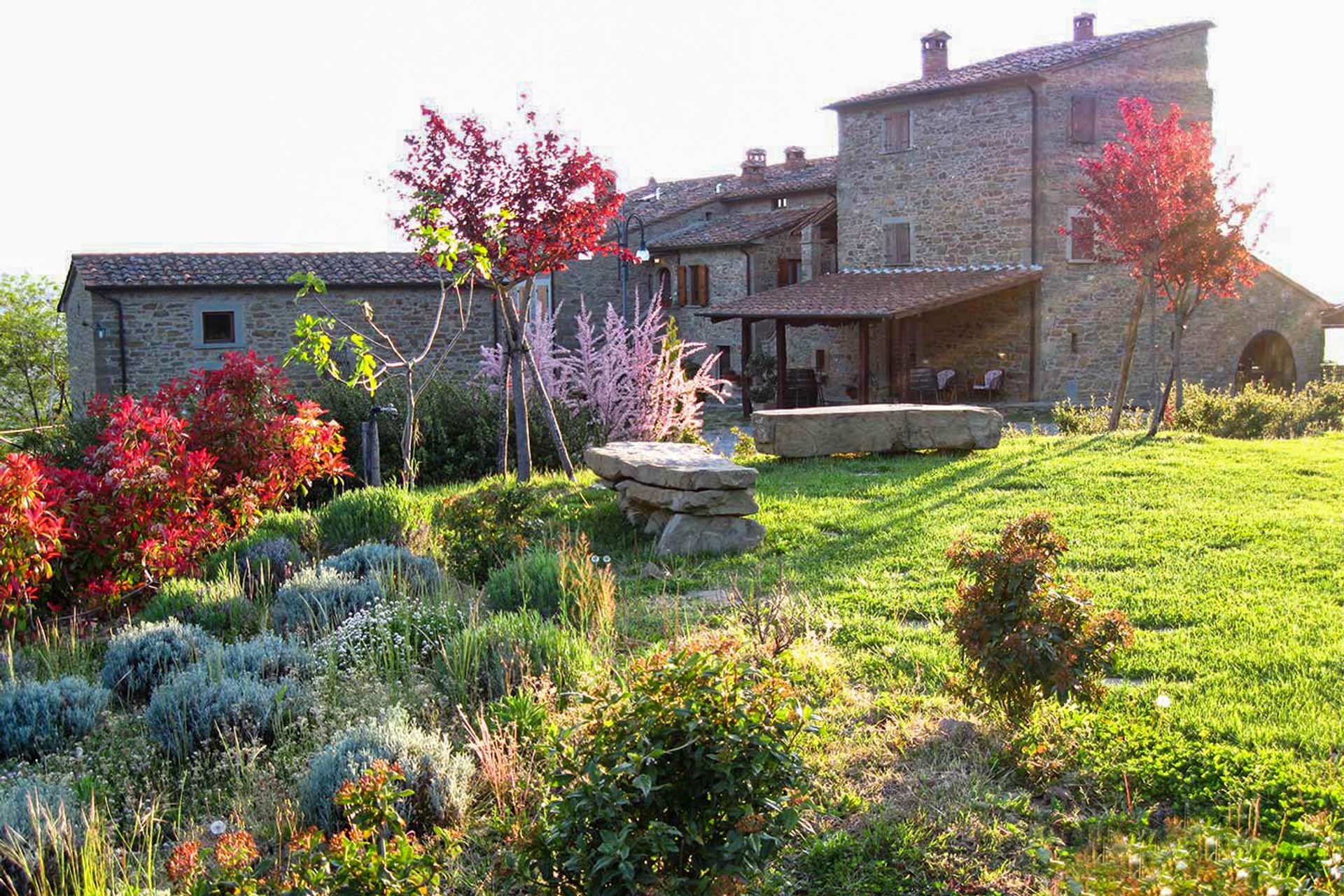 Haus im Arezzo, Arezzo 10058155