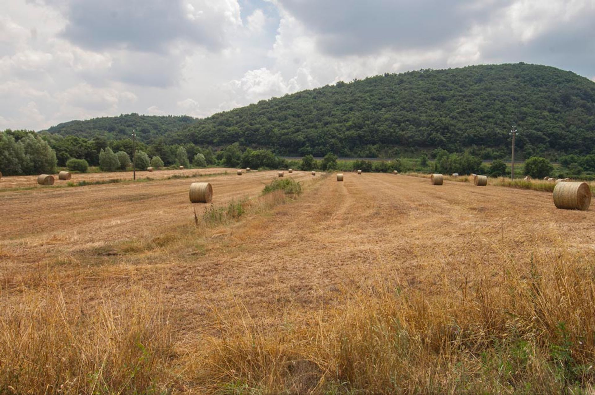 آخر في Siena, Siena 10058159