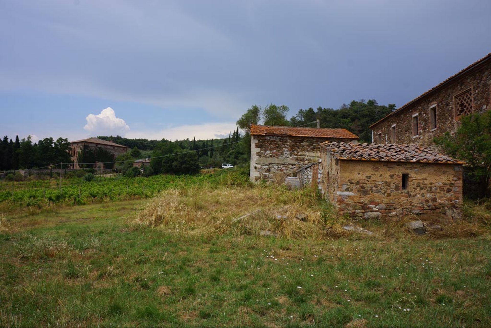 آخر في Siena, Siena 10058159