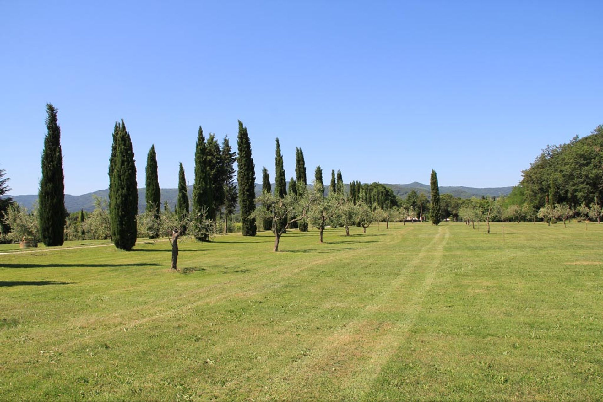 House in Figline E incisa Valdarno, Florence Province 10058165