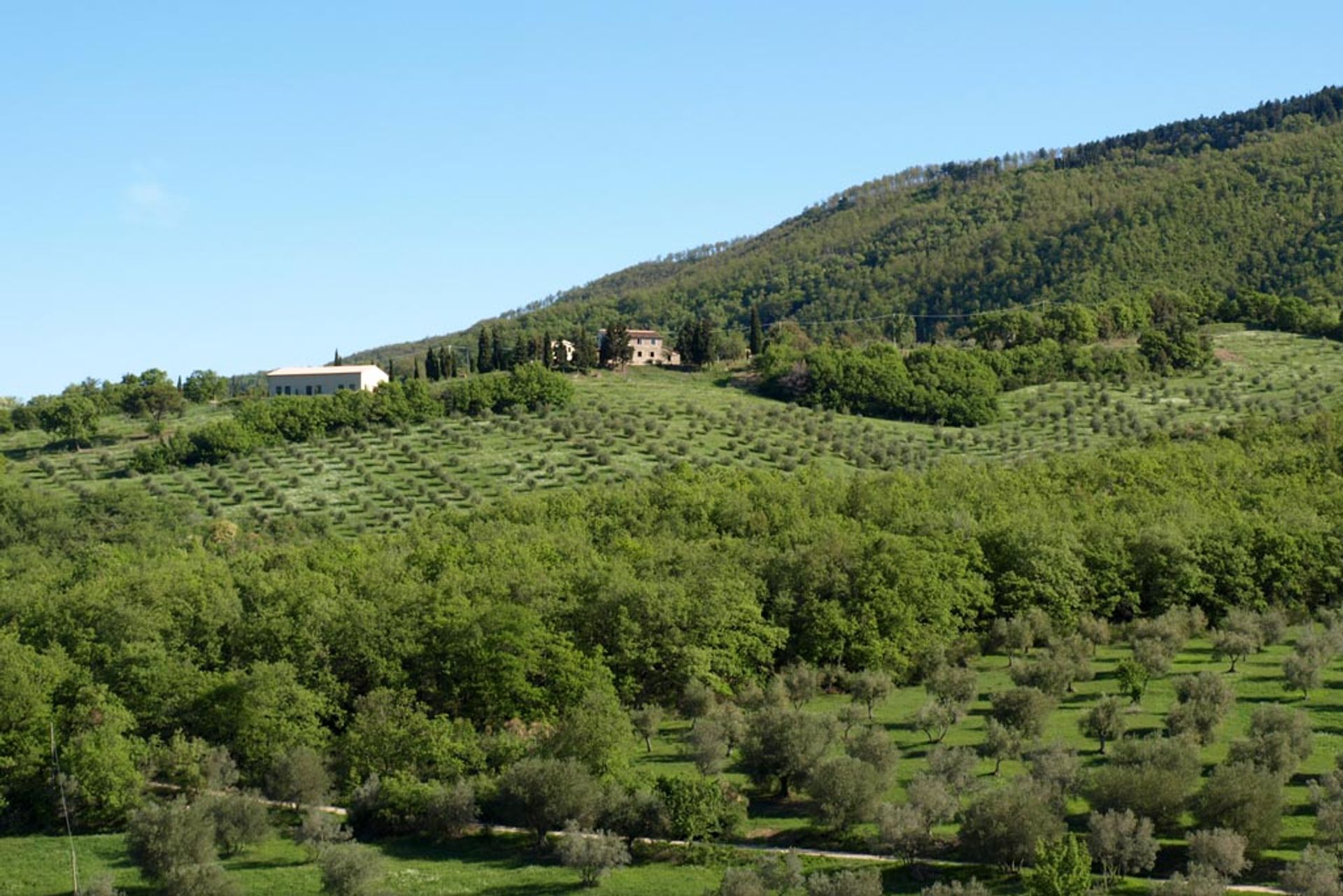 Otro en Castiglioncello del Trinoro, toscana 10058168