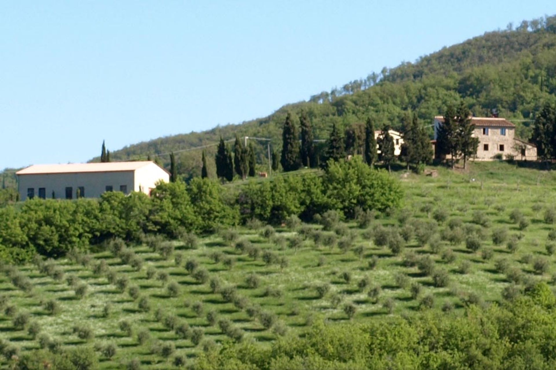 Otro en Castiglioncello del Trinoro, toscana 10058168