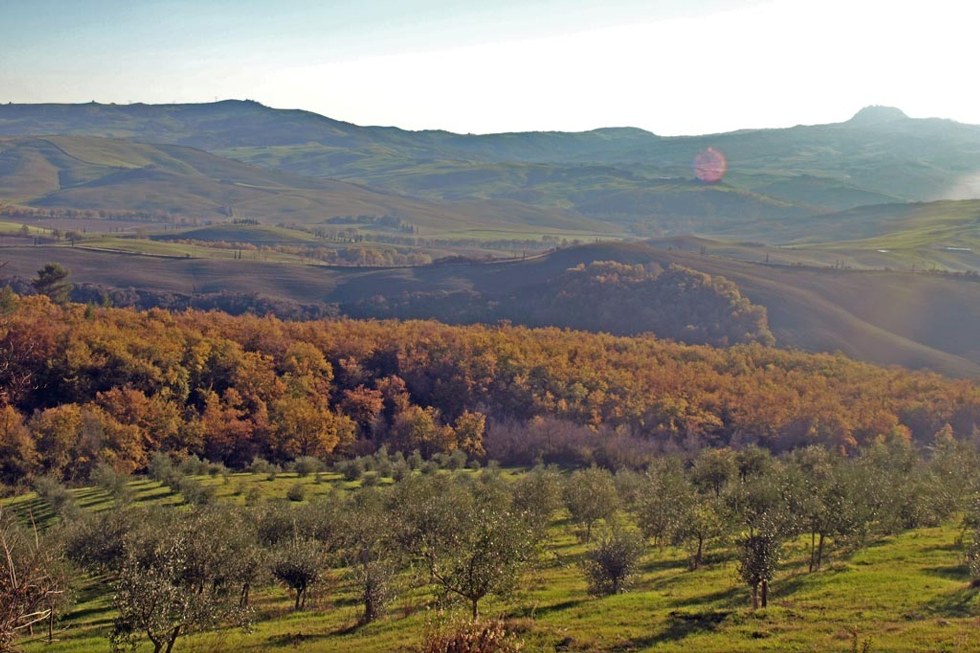 其他 在 Sarteano, Siena 10058168