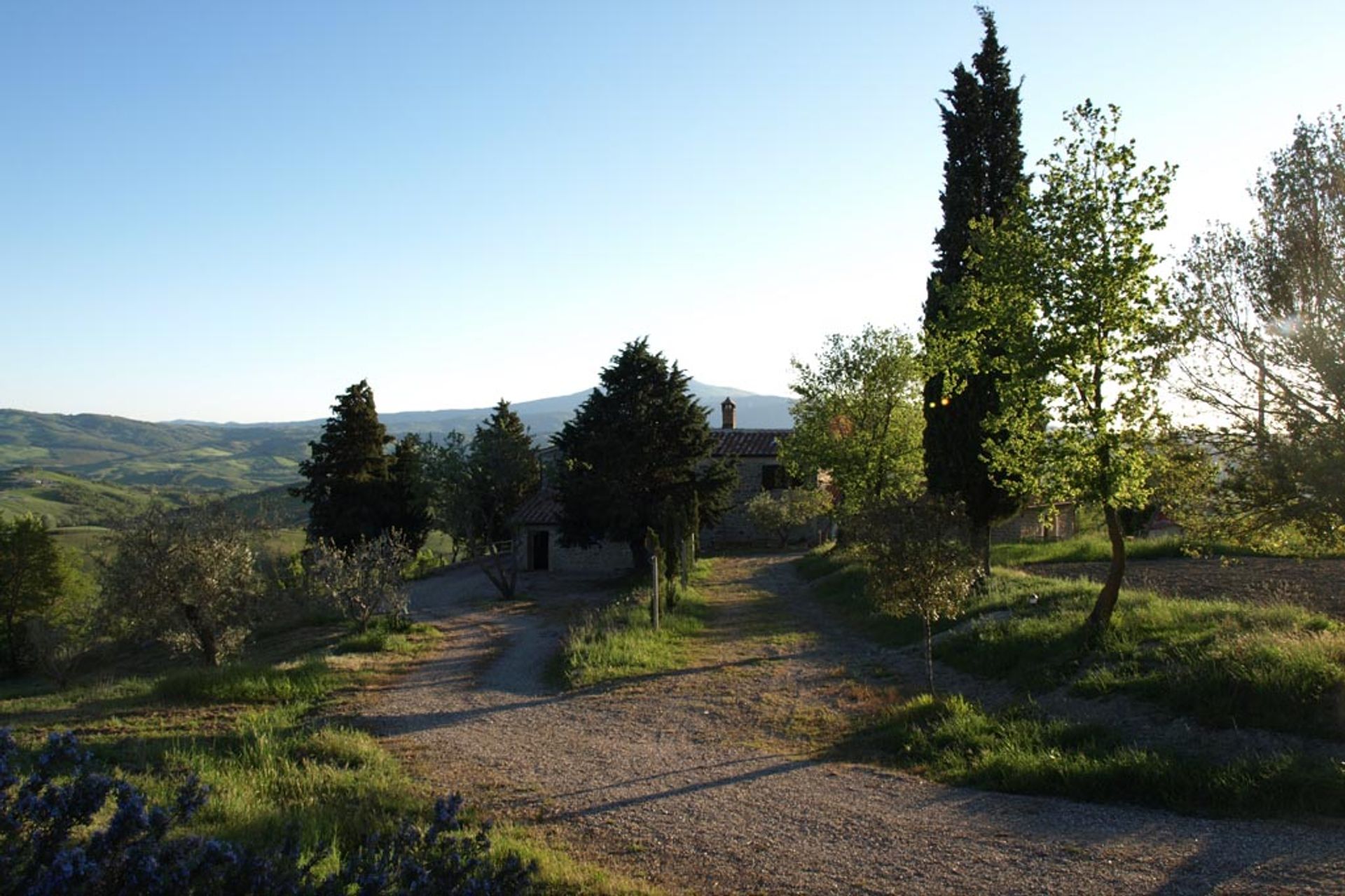 其他 在 Sarteano, Siena 10058168