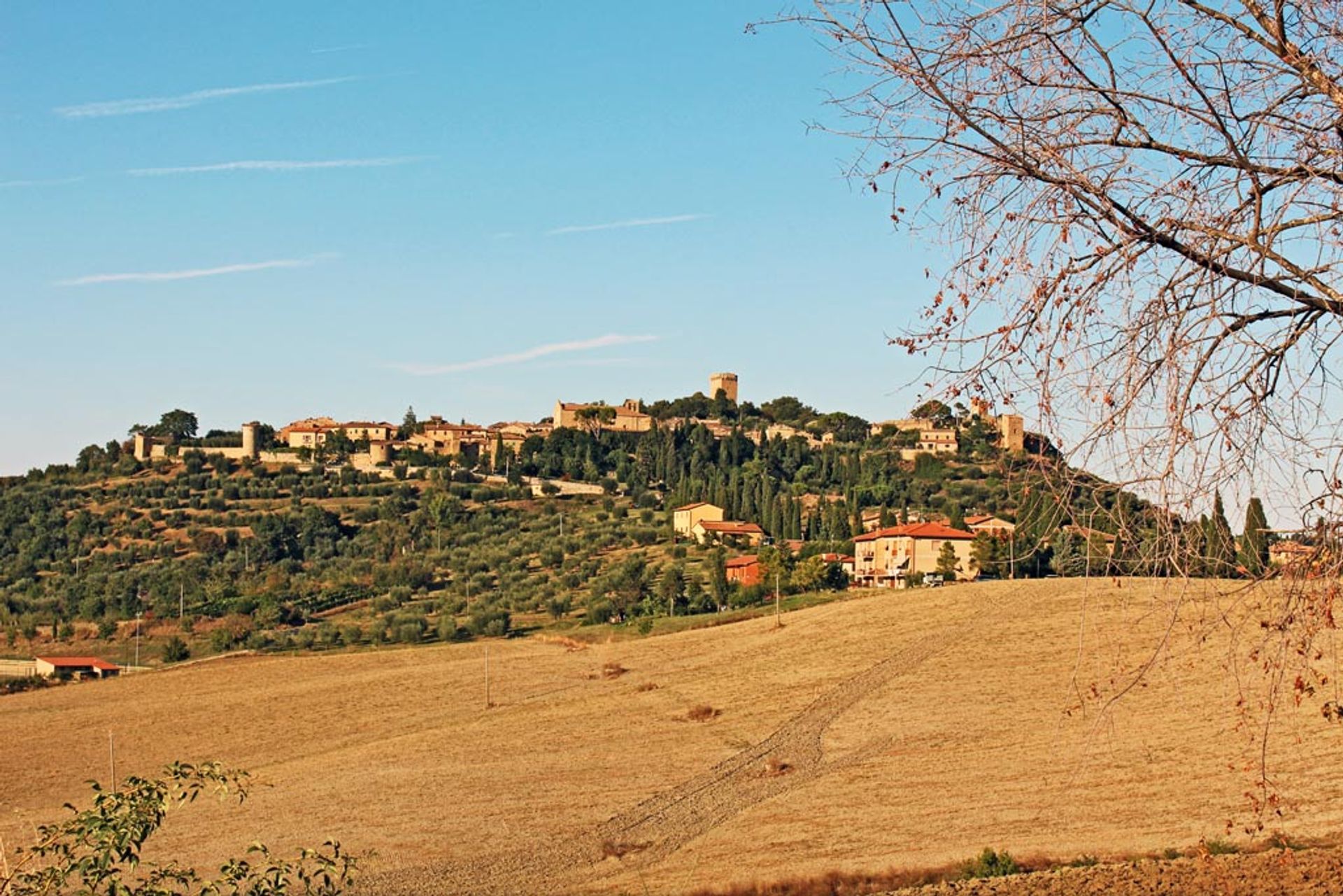 其他 在 Sarteano, Siena 10058168