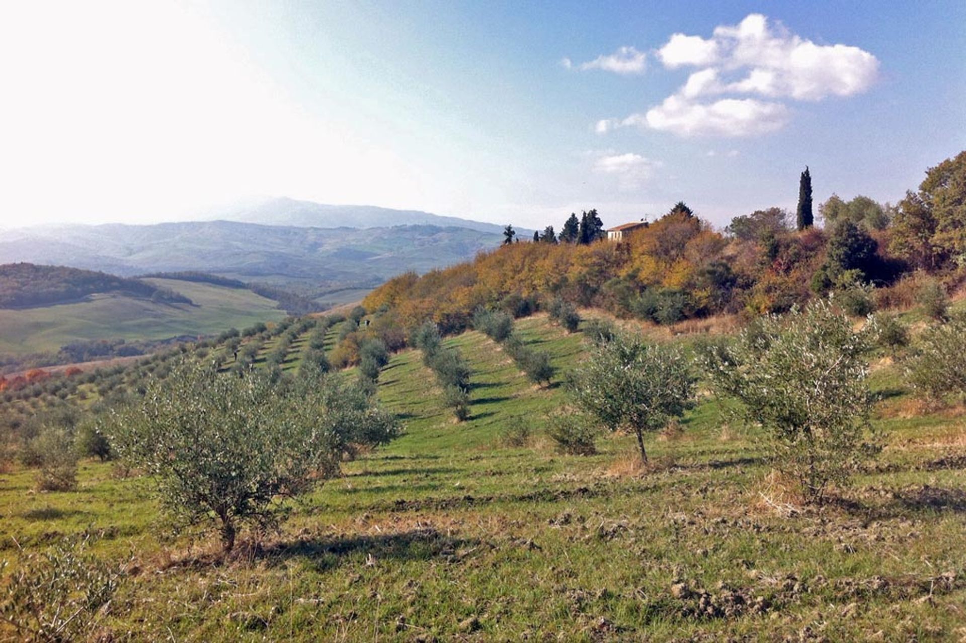 其他 在 Sarteano, Siena 10058168