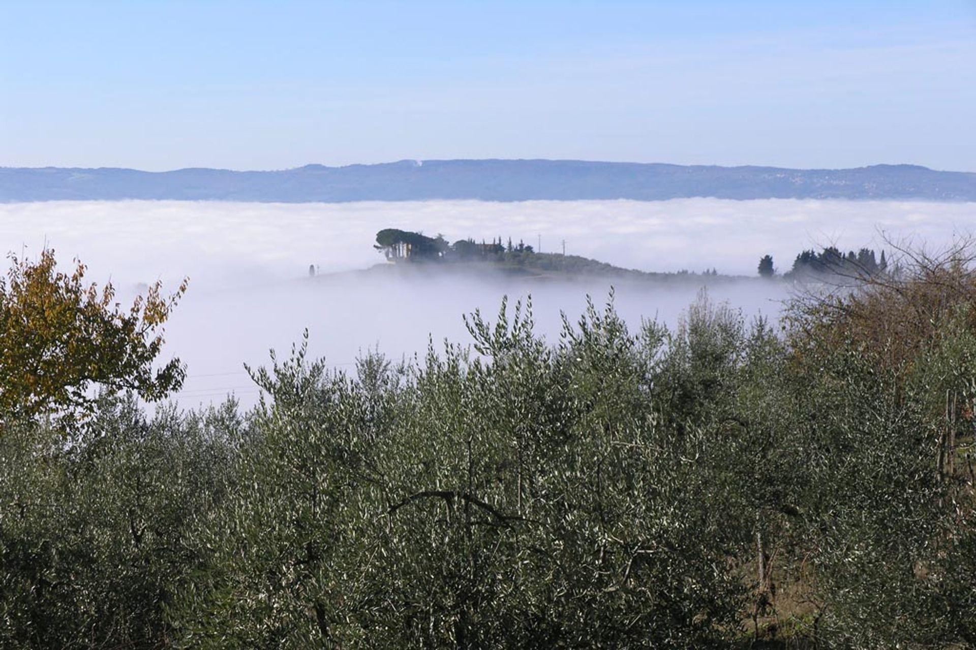 Annen i Certaldo, Florence Province 10058174