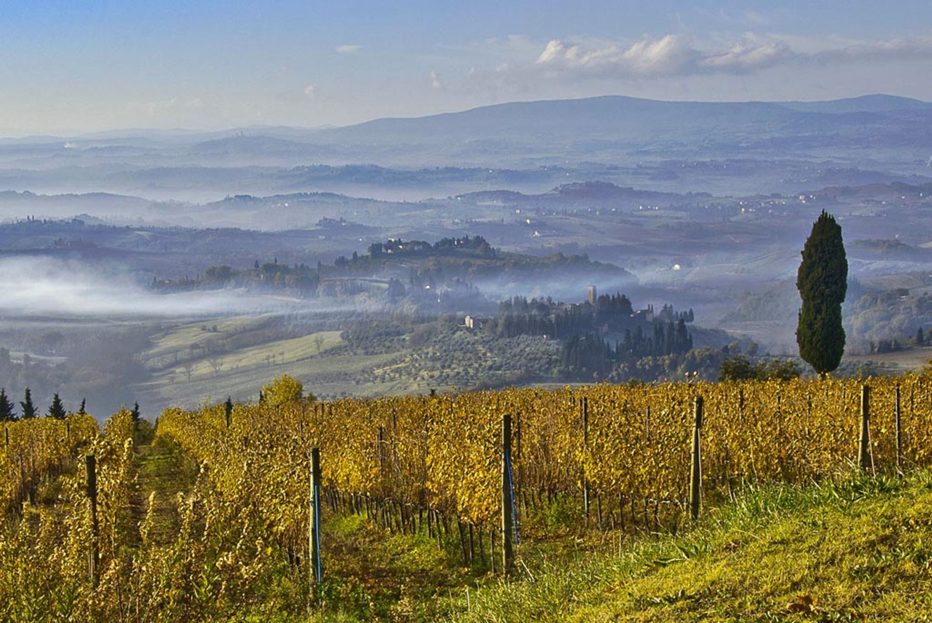 Annen i Certaldo, Florence Province 10058174