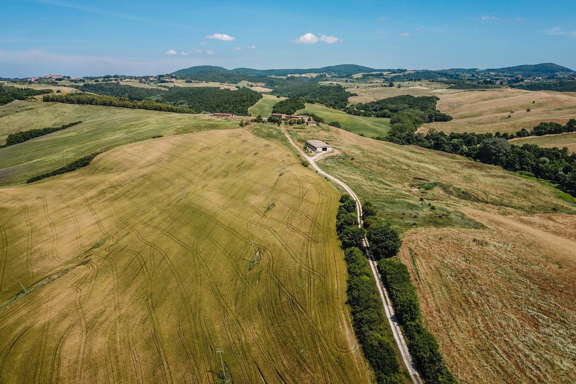 Lain di Trequanda, Siena 10058176