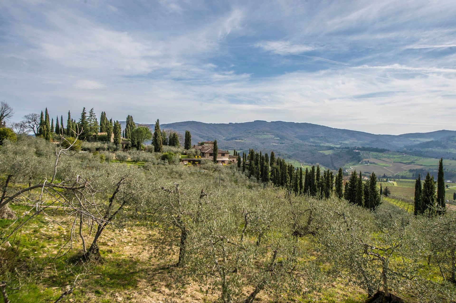 Dom w Greve in Chianti, Florence Province 10058247