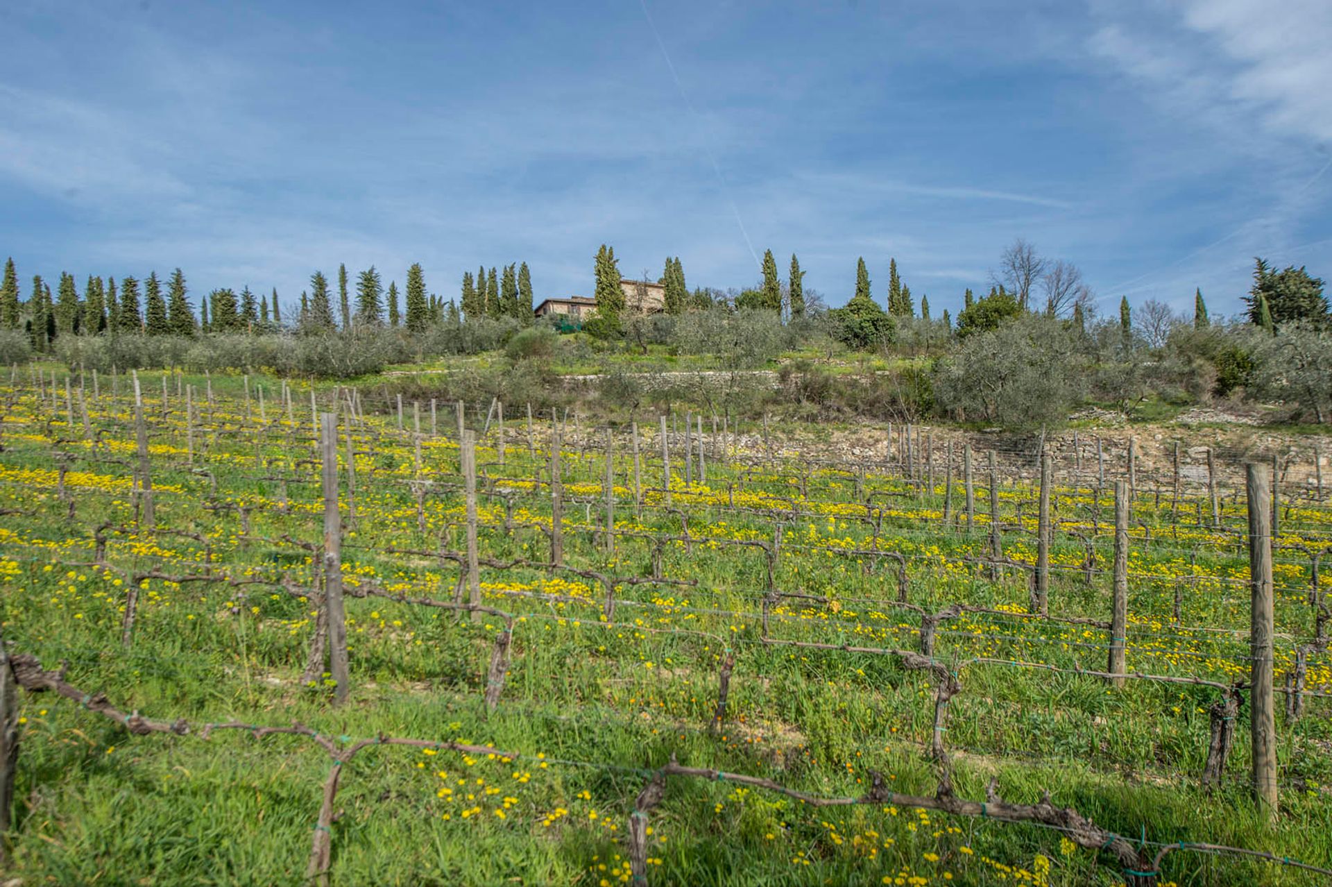 Dom w Greve in Chianti, Florence Province 10058247