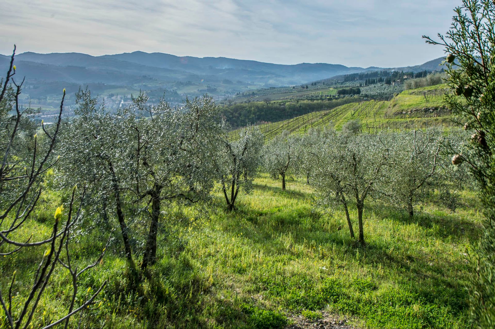 Dom w Greve in Chianti, Florence Province 10058247