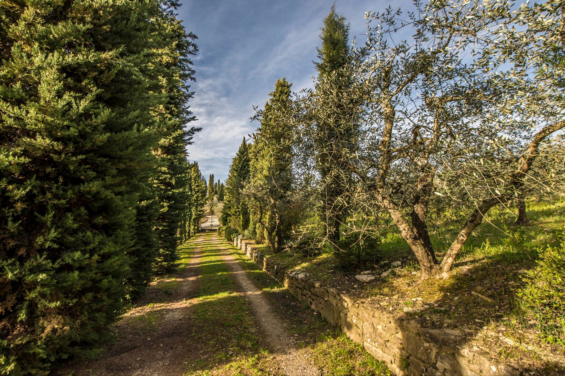 Dom w Greve in Chianti, Florence Province 10058247