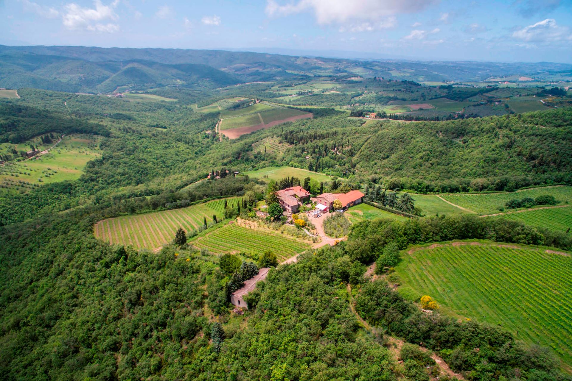 Yang lain dalam Greve in Chianti, Florence Province 10058253