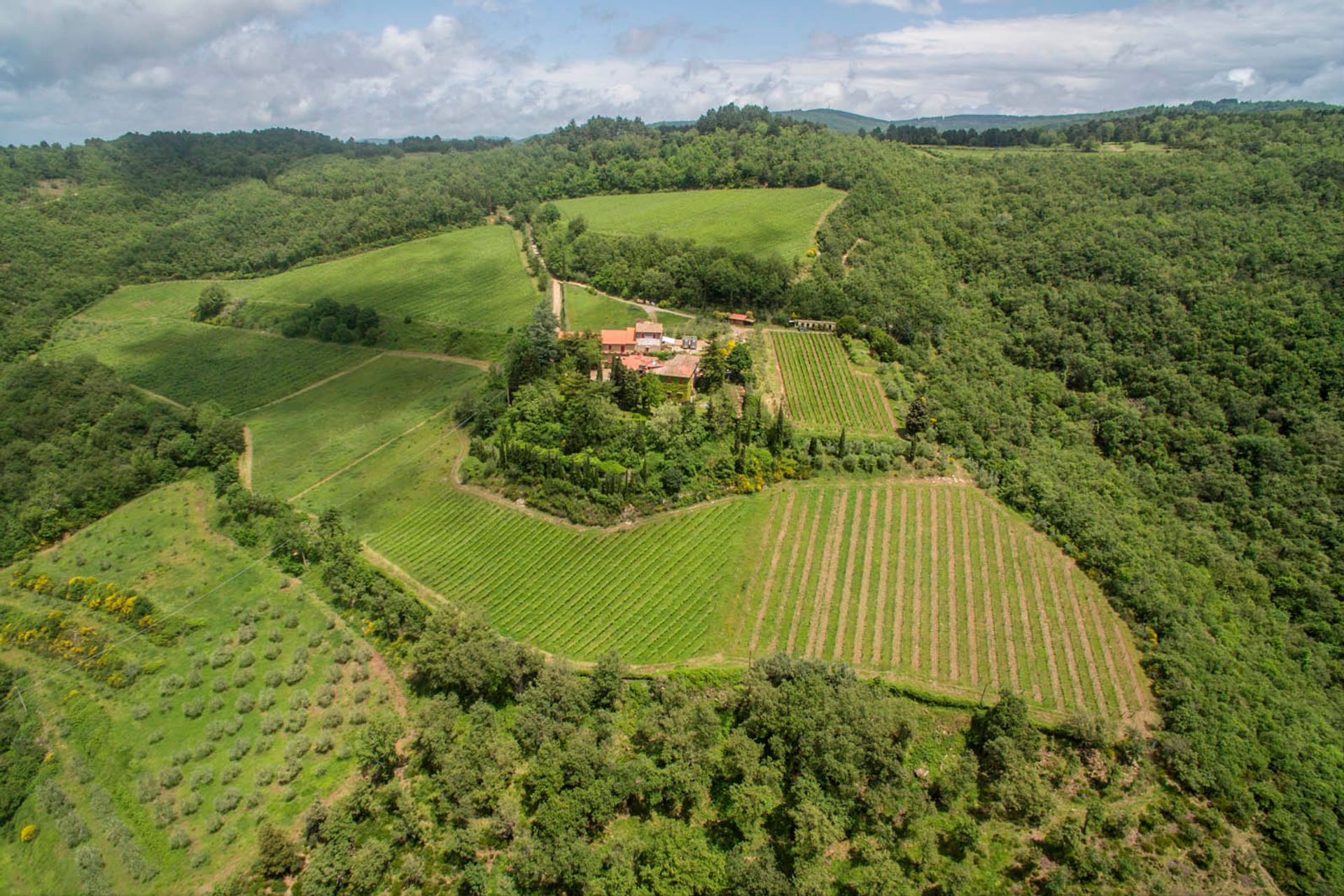 其他 在 Greve in Chianti, Florence Province 10058253