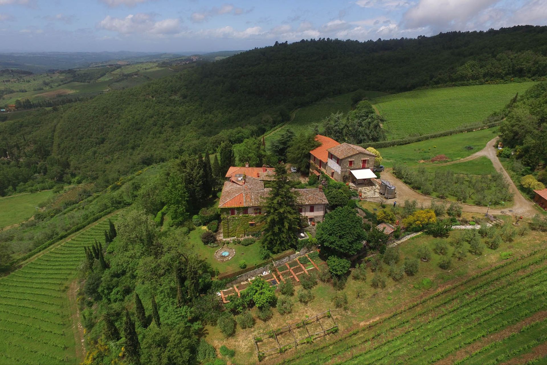 Yang lain dalam Greve in Chianti, Florence Province 10058253