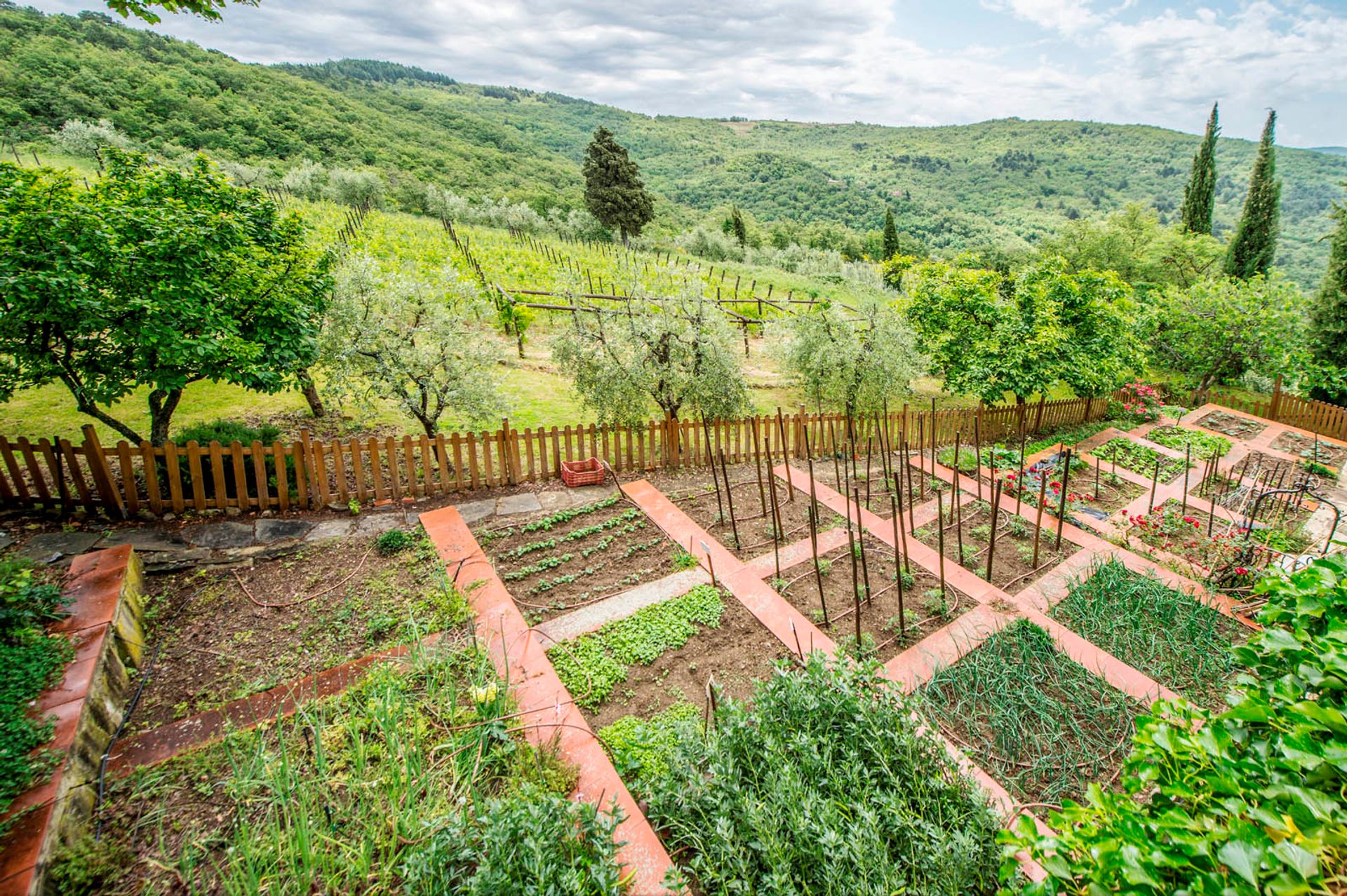 其他 在 Greve in Chianti, Florence Province 10058253