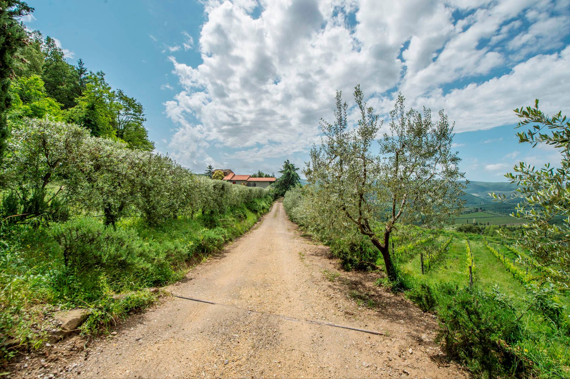 Інший в Greve in Chianti, Florence Province 10058253