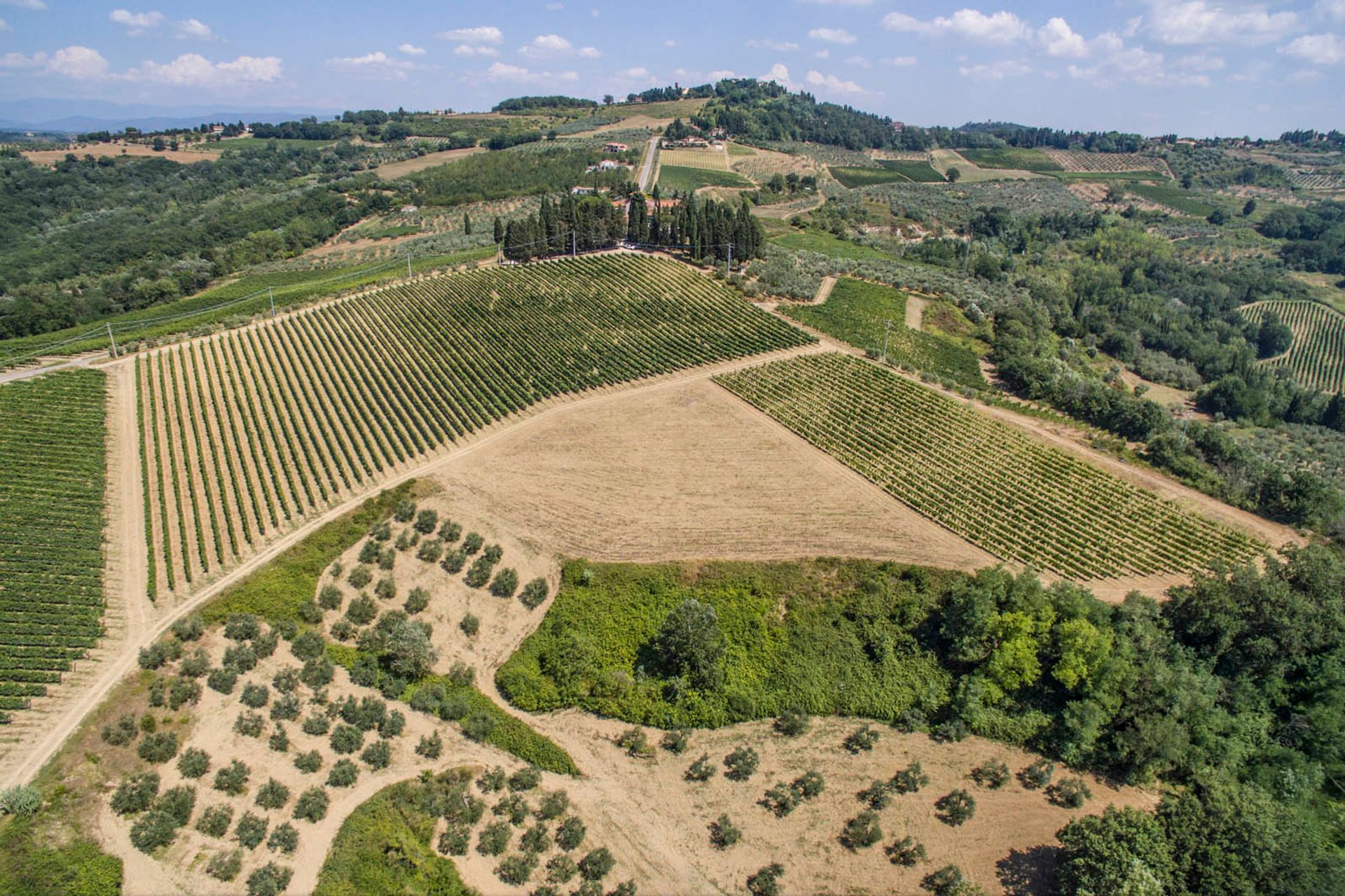 Lain di Montespertoli, Florence Province 10058262