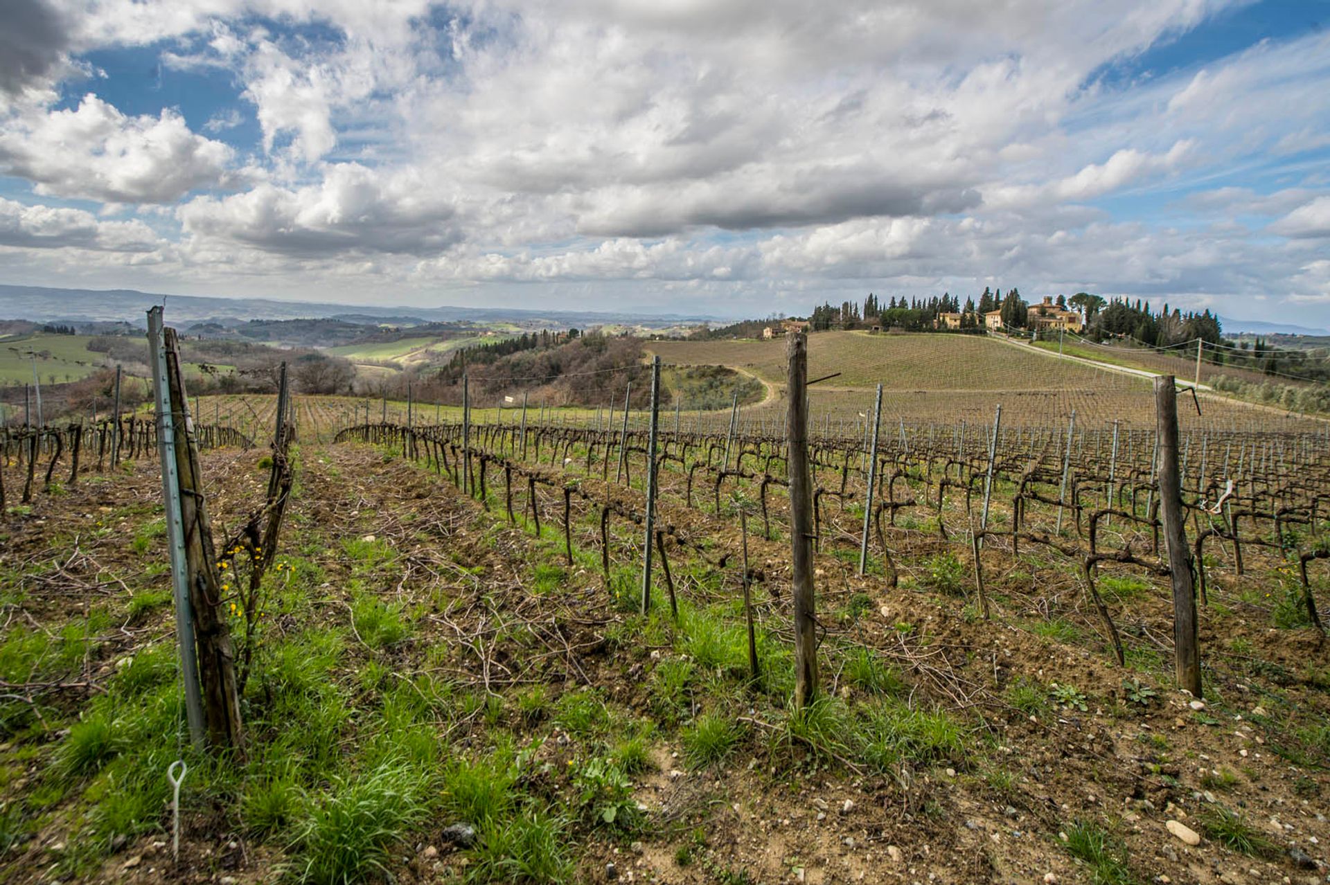 Lain di Montespertoli, Florence Province 10058262