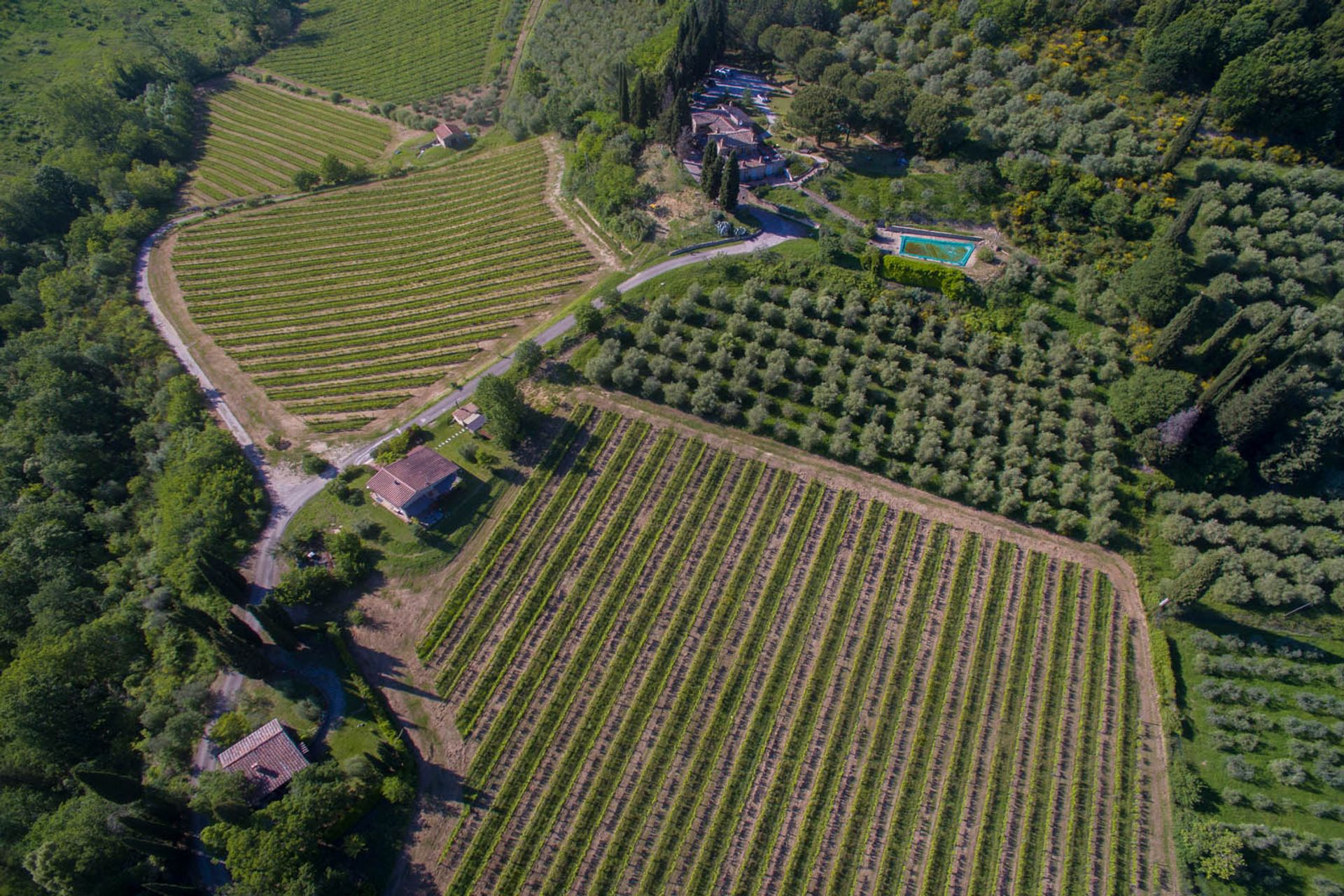 آخر في San Gimignano, Siena 10058264