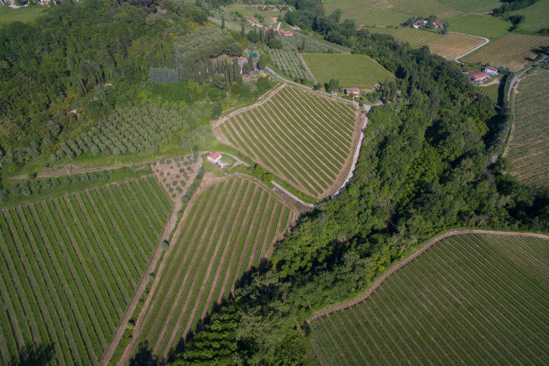 Inny w San Gimignano, Siena 10058264