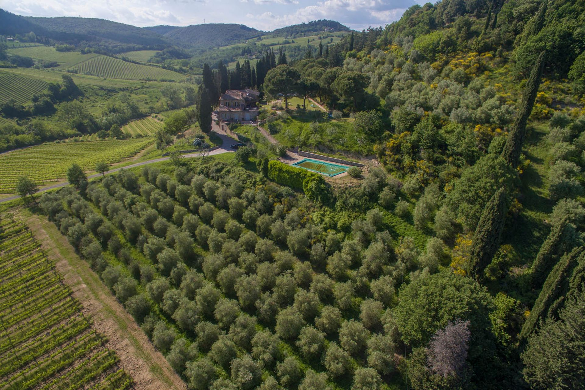 Outro no San Gimignano, Siena 10058264