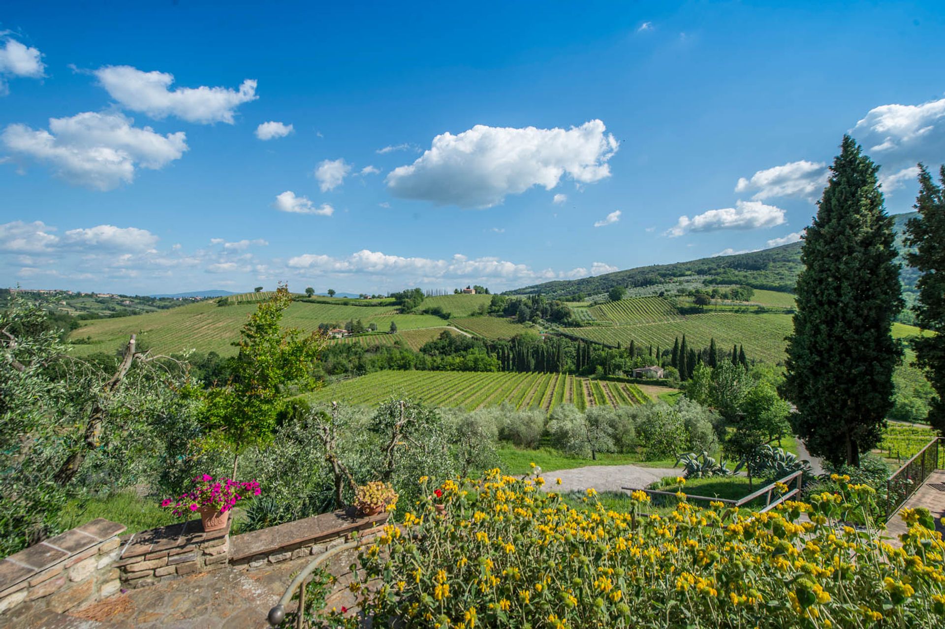 Outro no San Gimignano, Siena 10058264