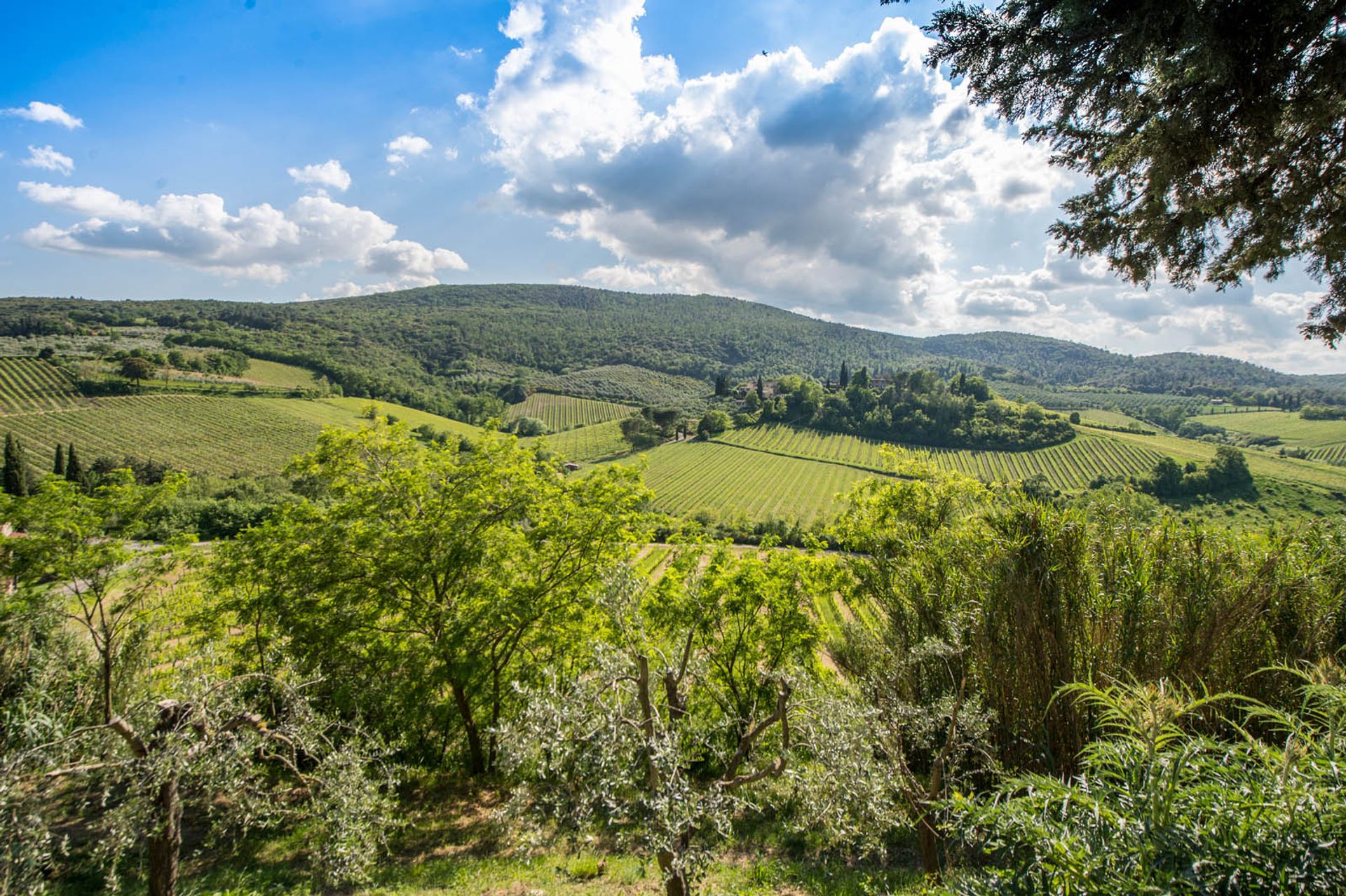 Andere in San Gimignano, Siena 10058264