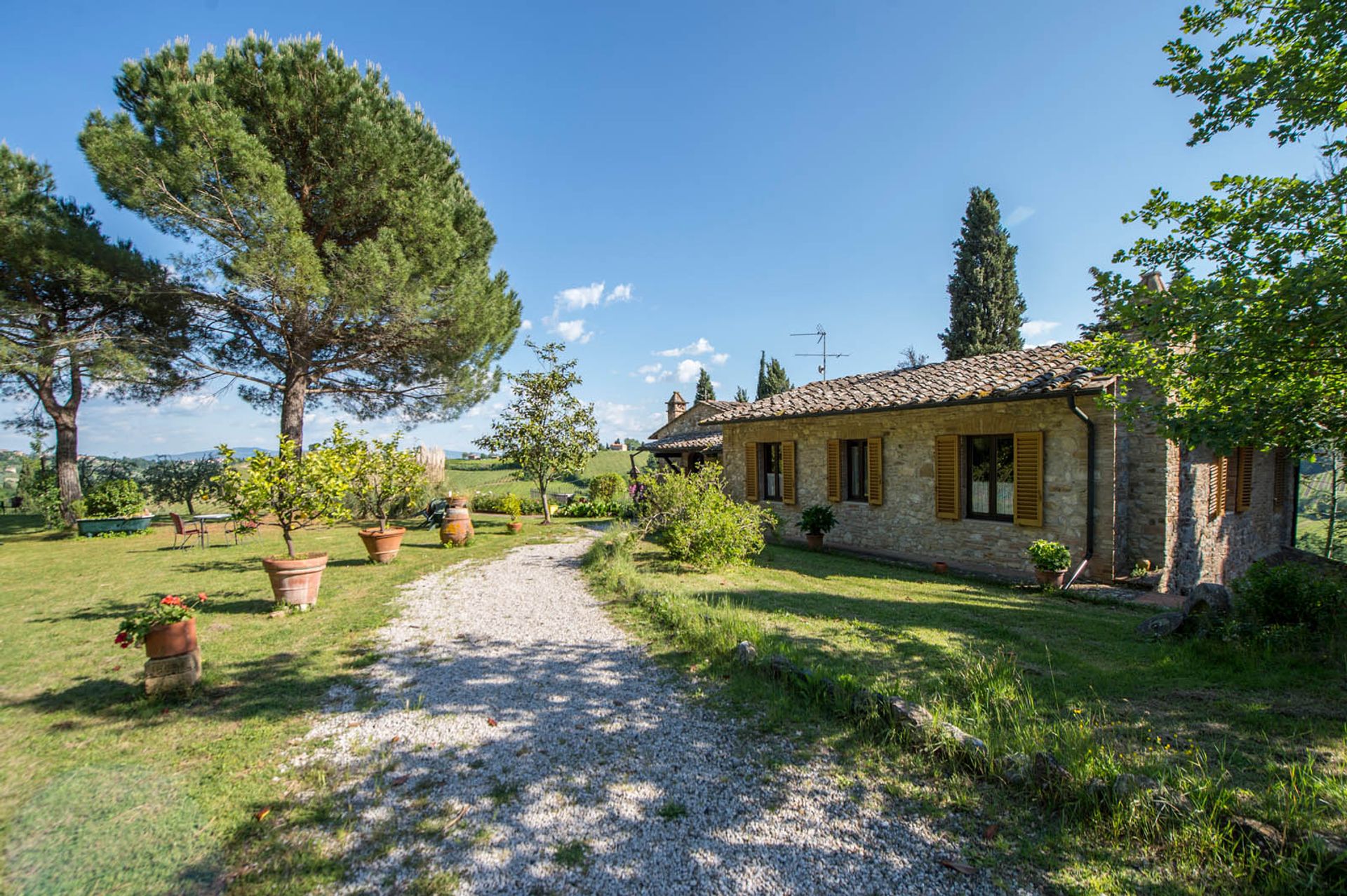 آخر في San Gimignano, Siena 10058264