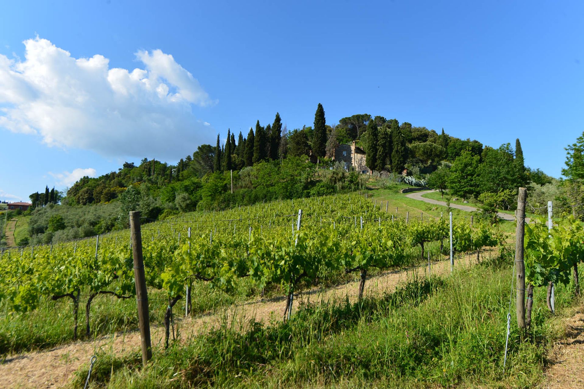 Autre dans San Gimignano, Siena 10058264