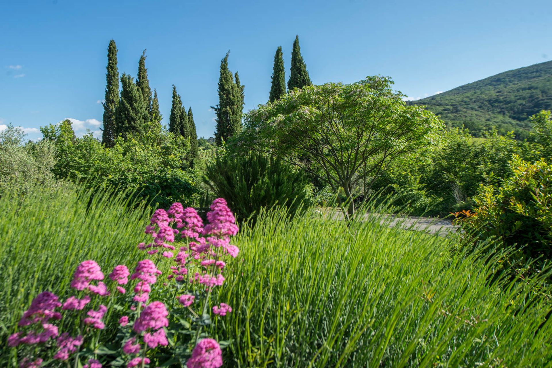 Muu sisään San Gimignano, Siena 10058264