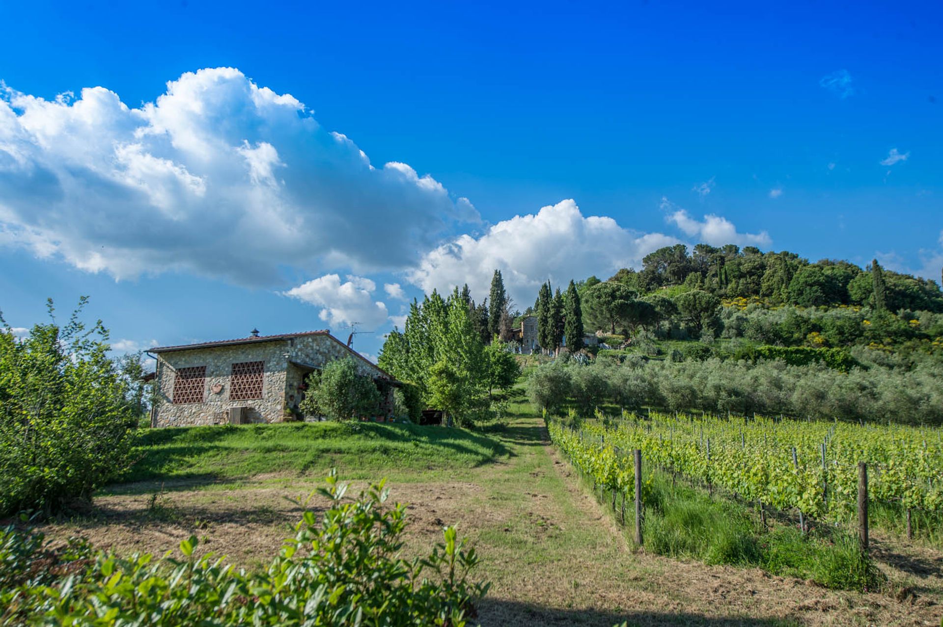 Annen i San Gimignano, Siena 10058264