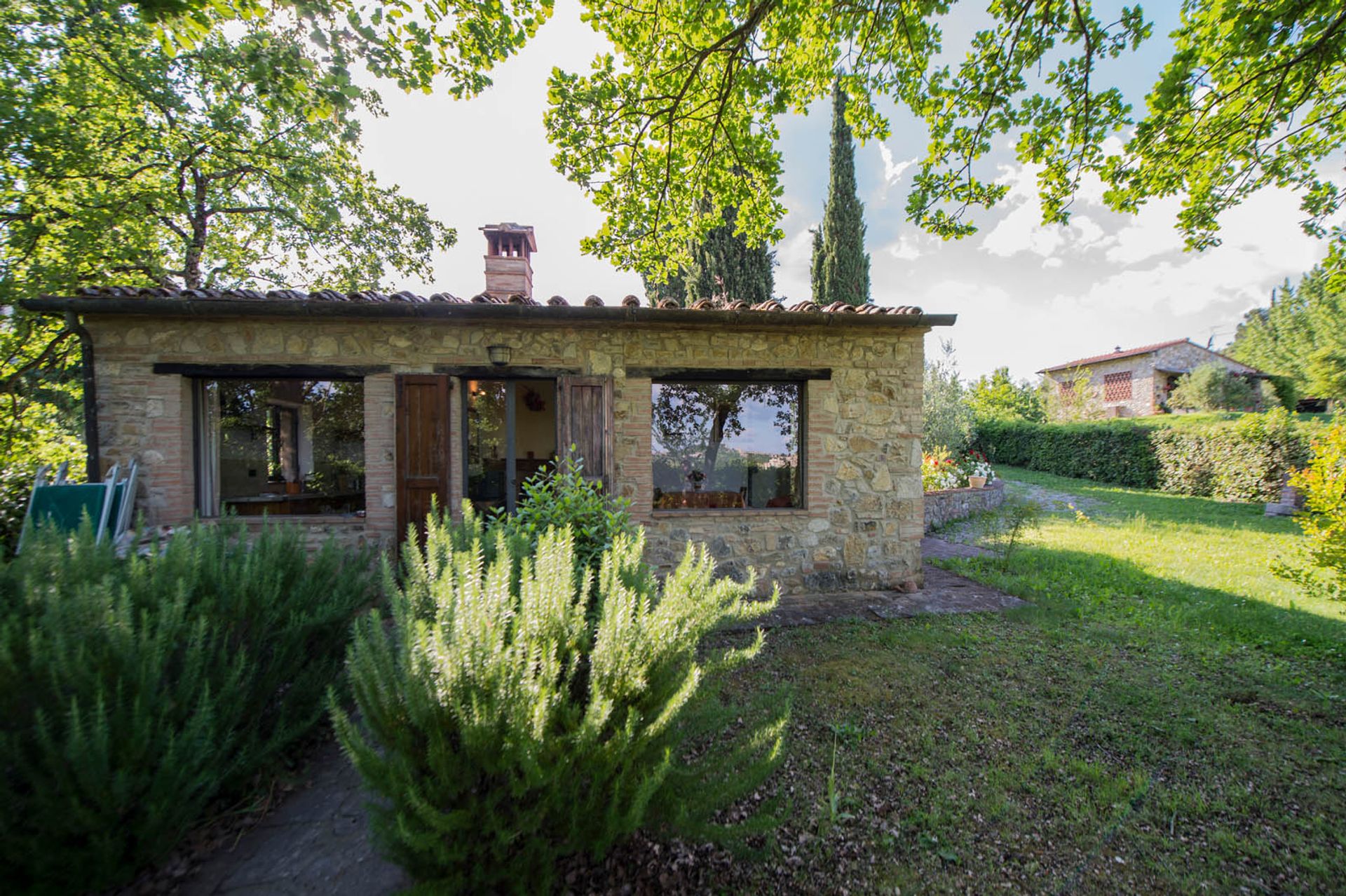 Lain di San Gimignano, Siena 10058264