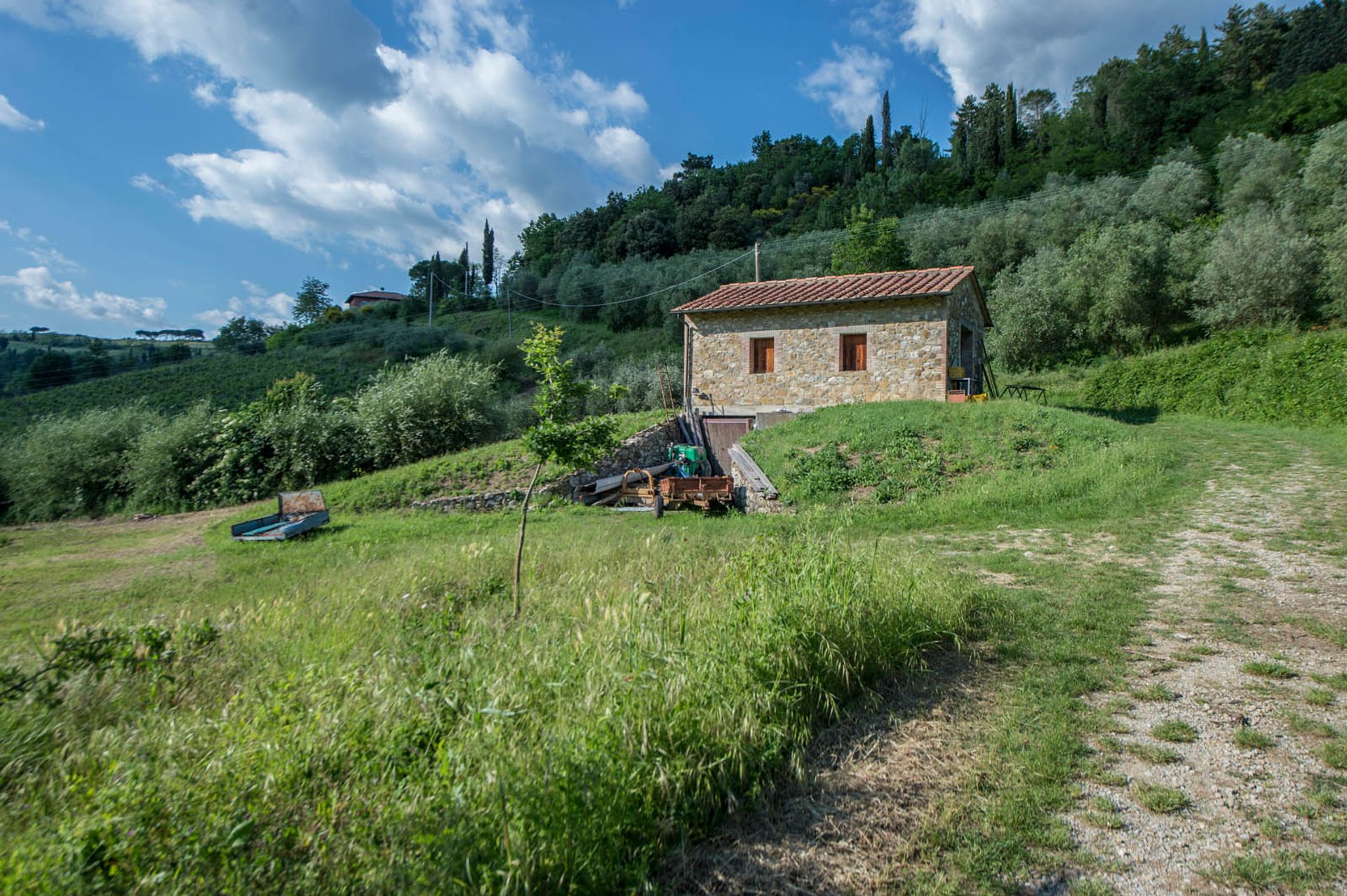 Другой в San Gimignano, Siena 10058264