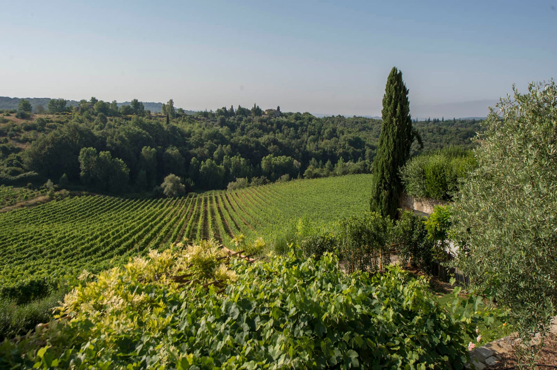 Other in Gaiole in Chianti, Siena 10058272