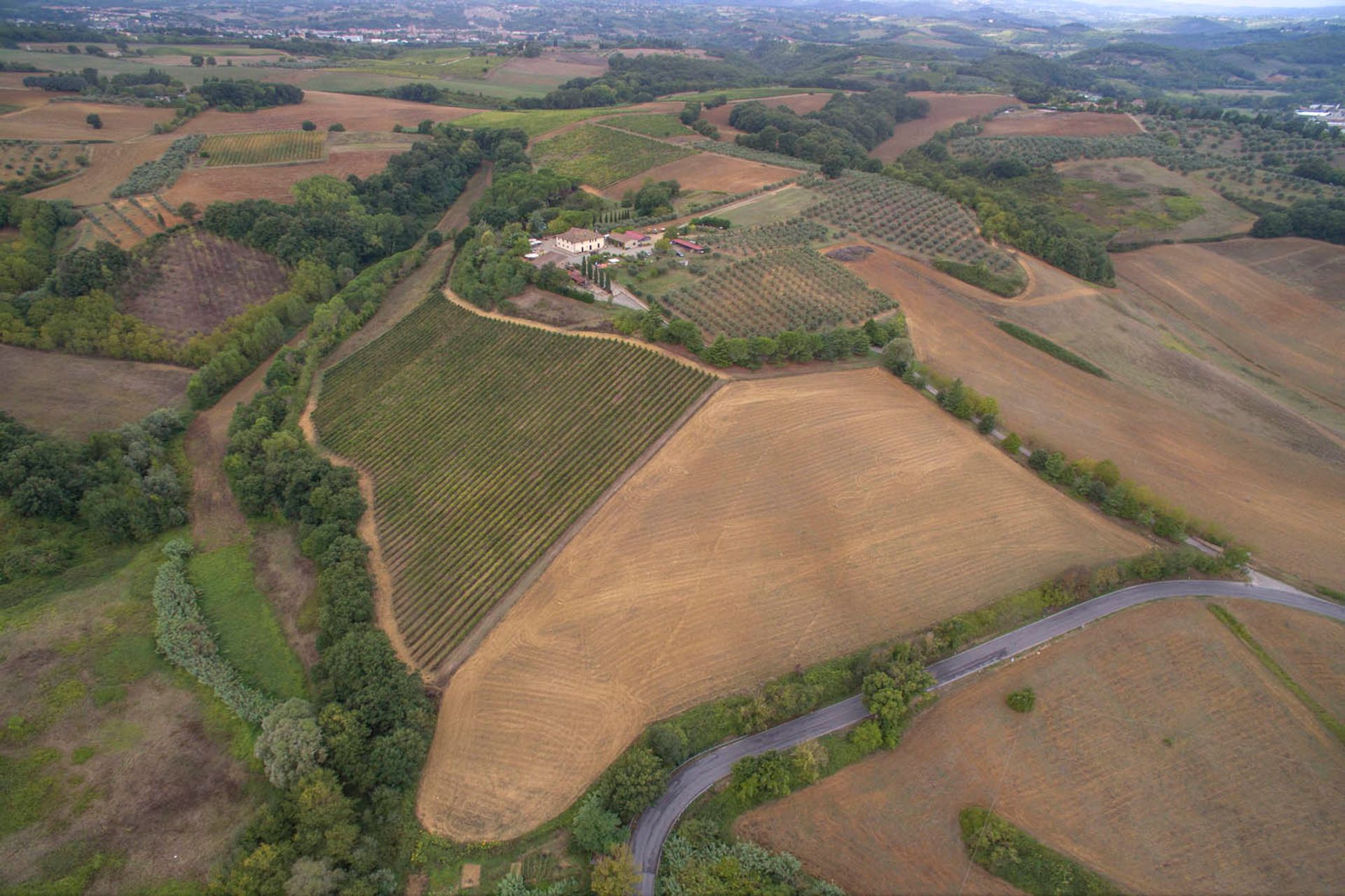 其他 在 Siena, Siena 10058294