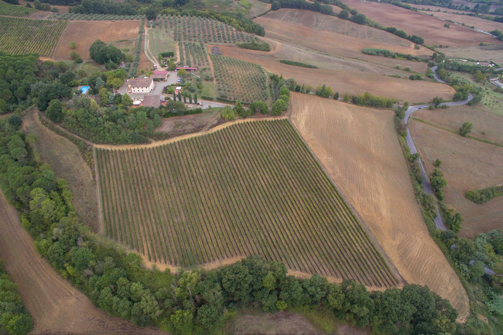 其他 在 Siena, Siena 10058294